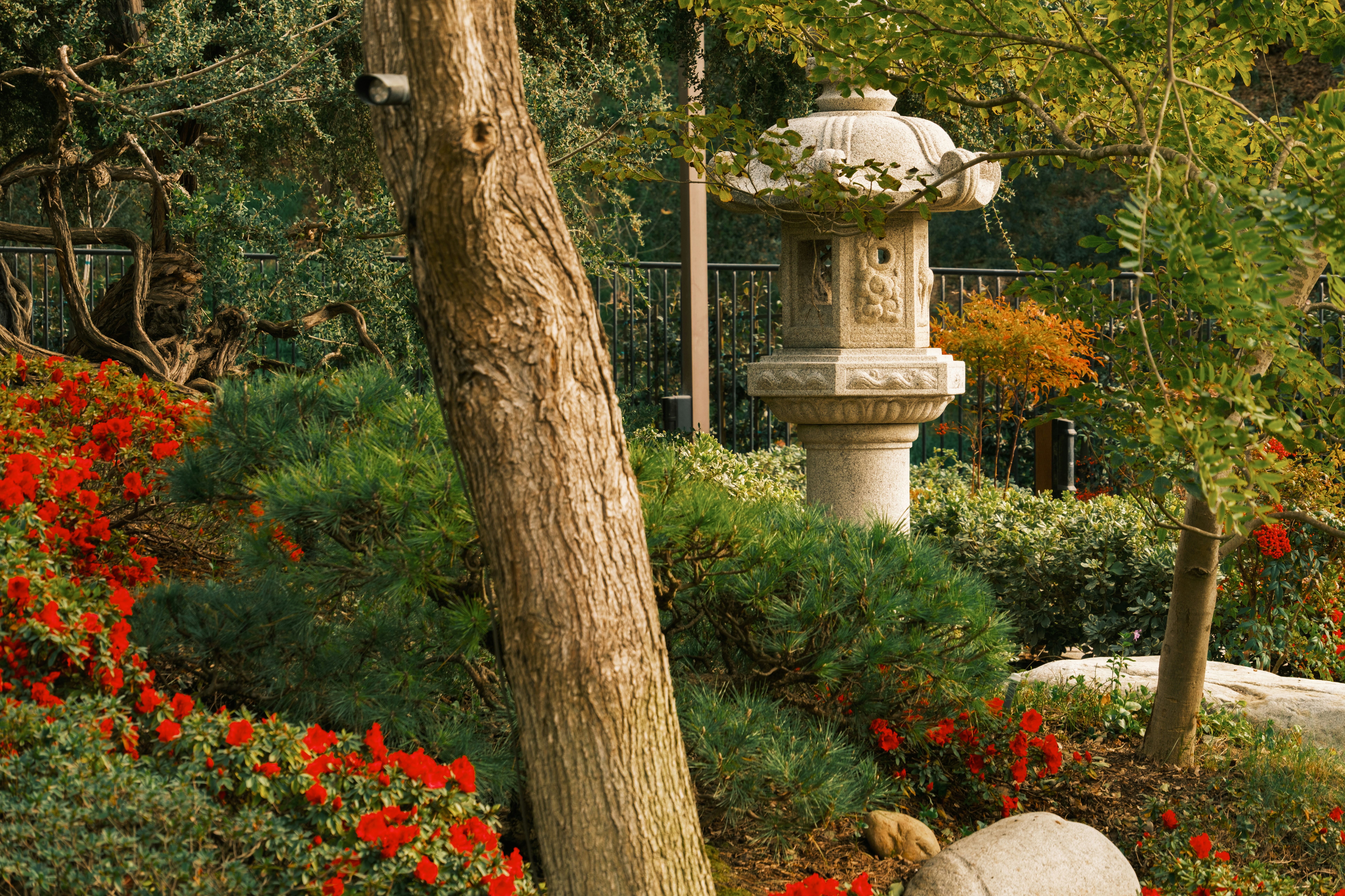 Photo by april_vasquez