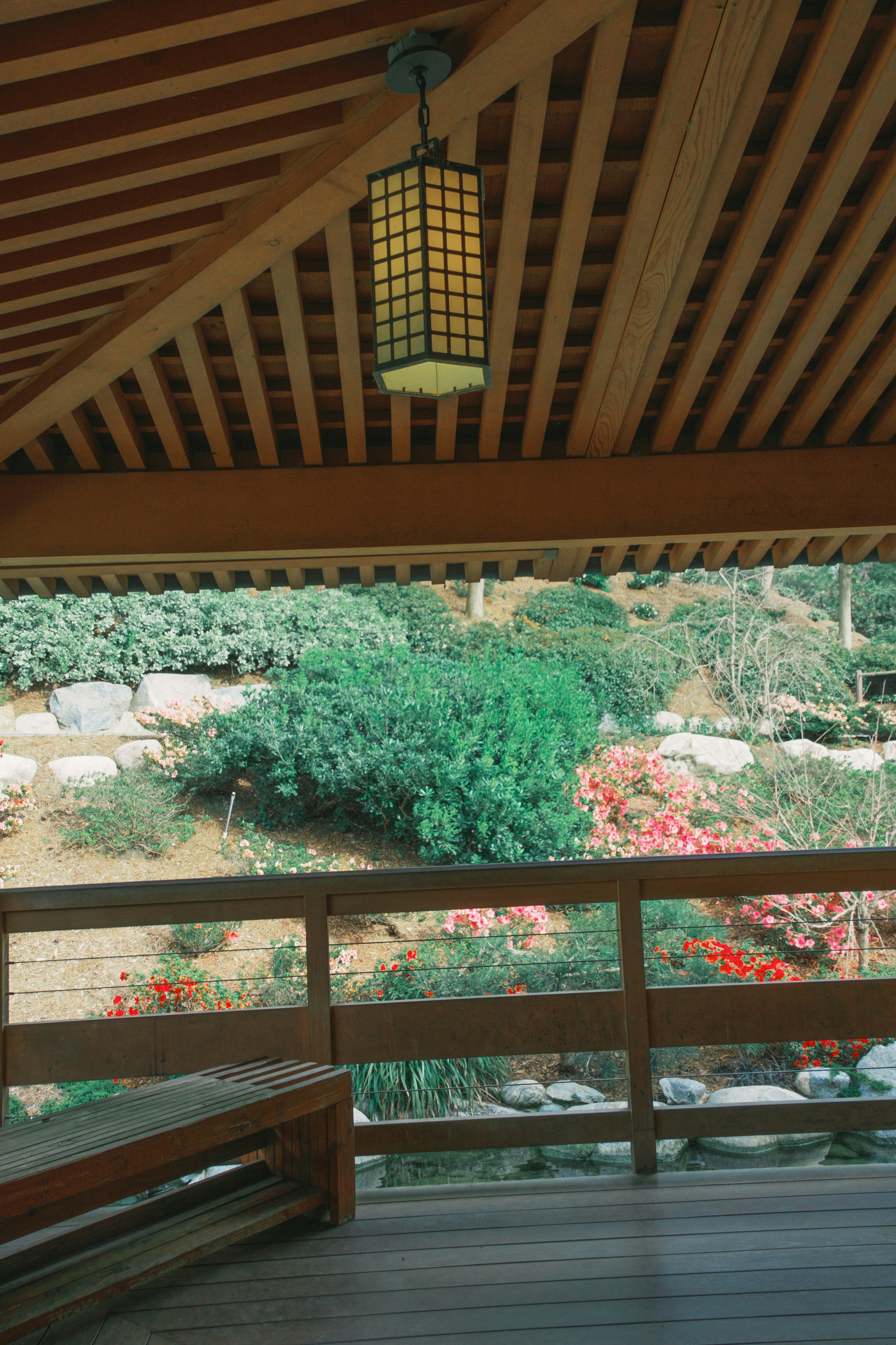 Photo by april_vasquez