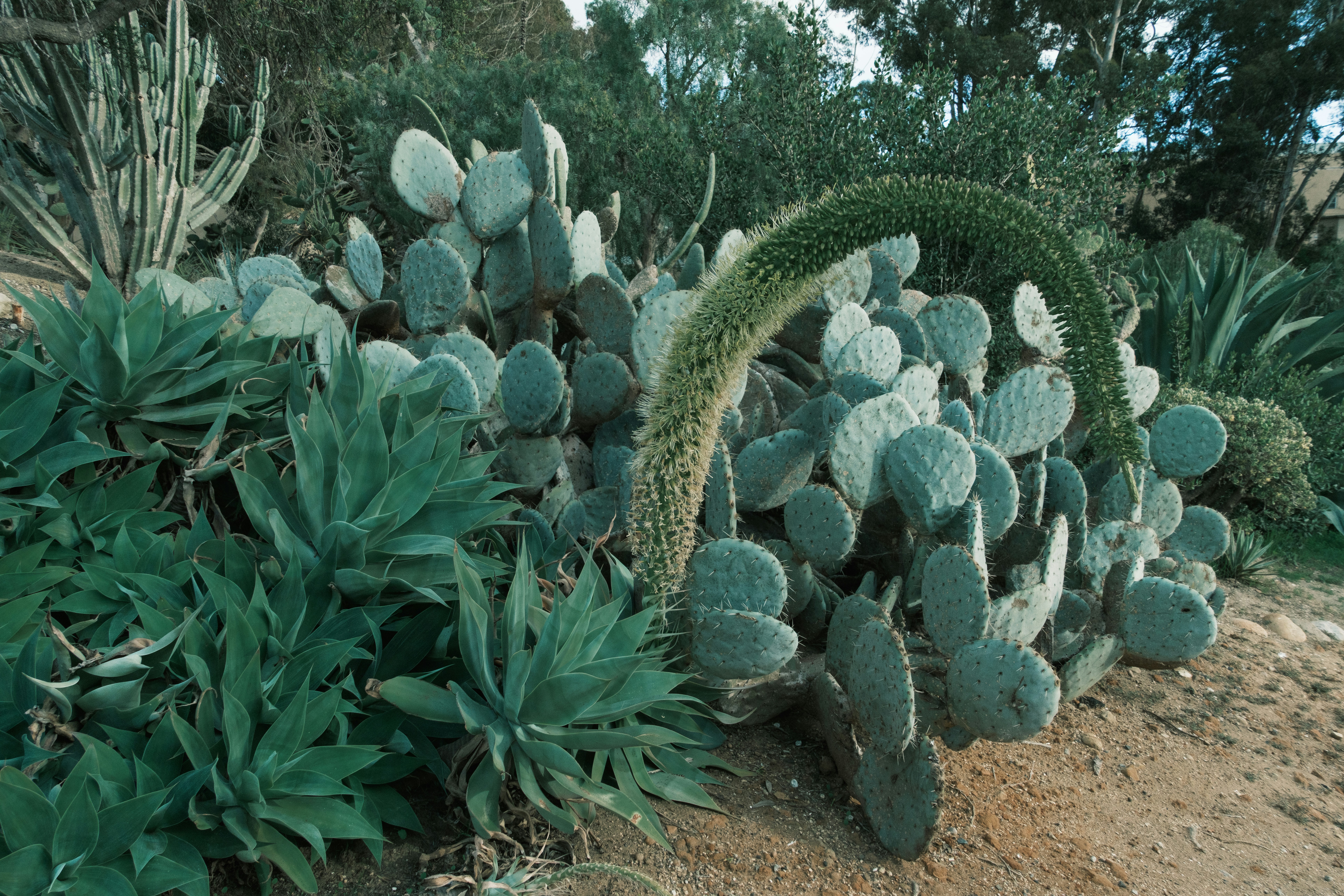 Photo by april_vasquez