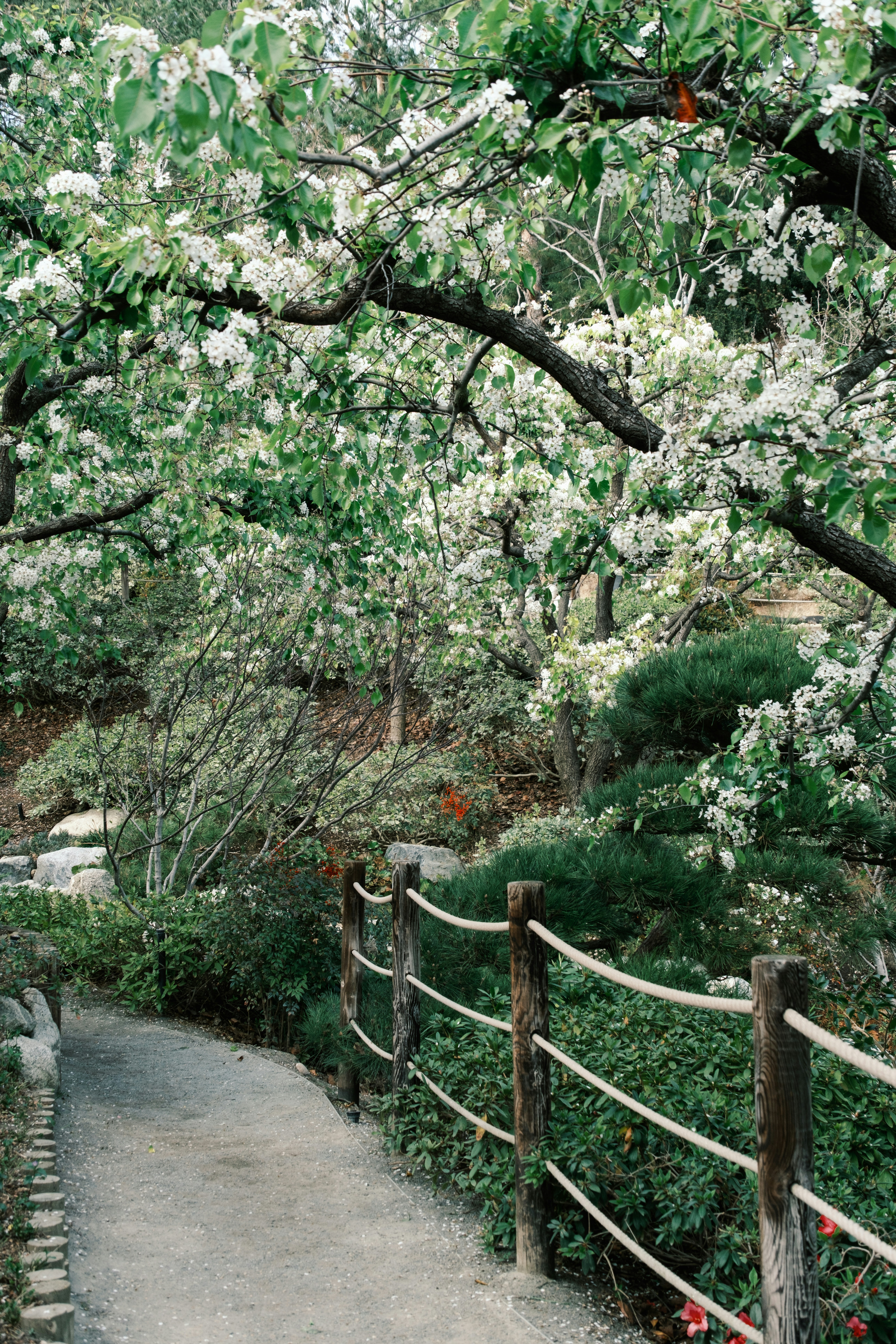 Photo by april_vasquez