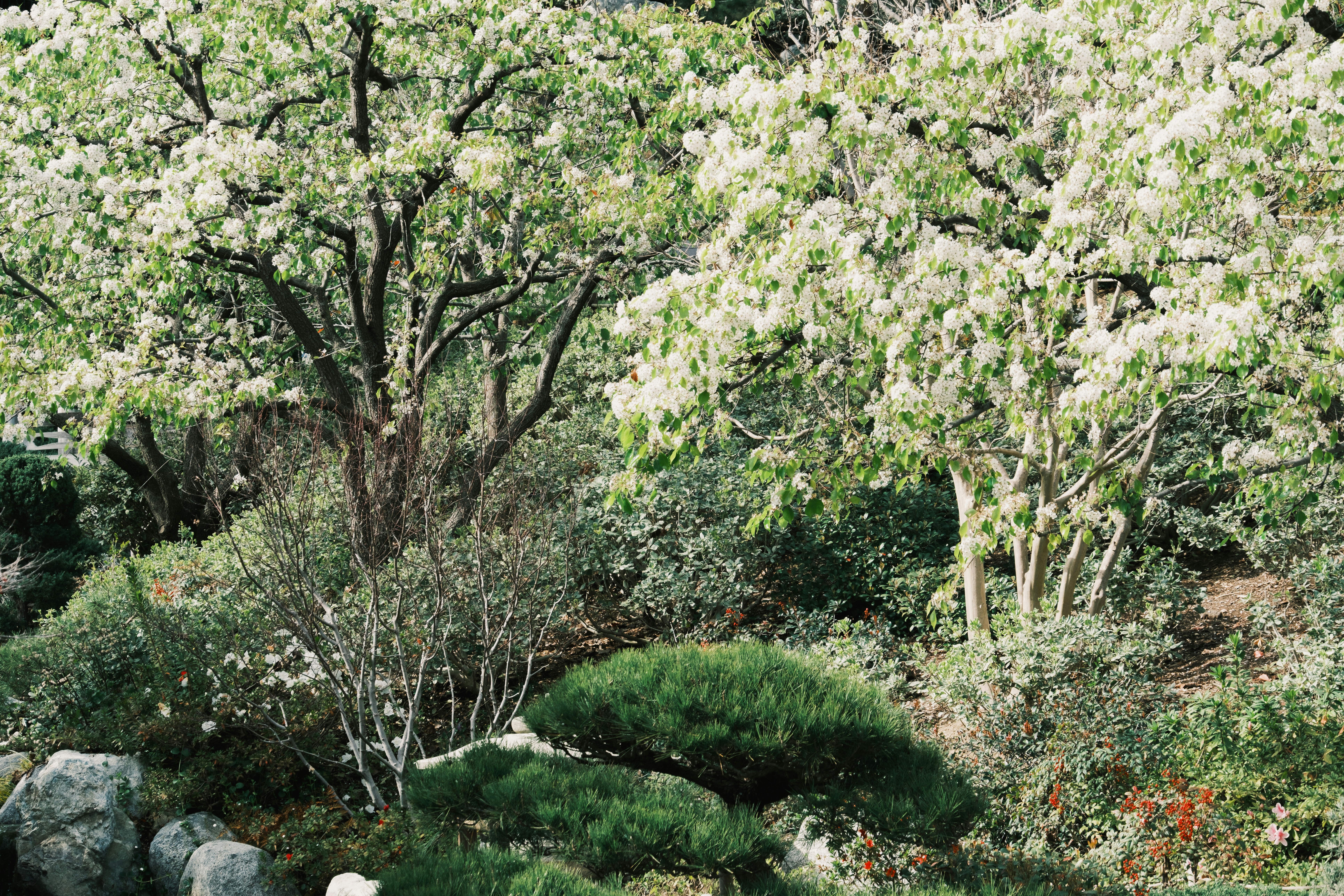 Photo by april_vasquez