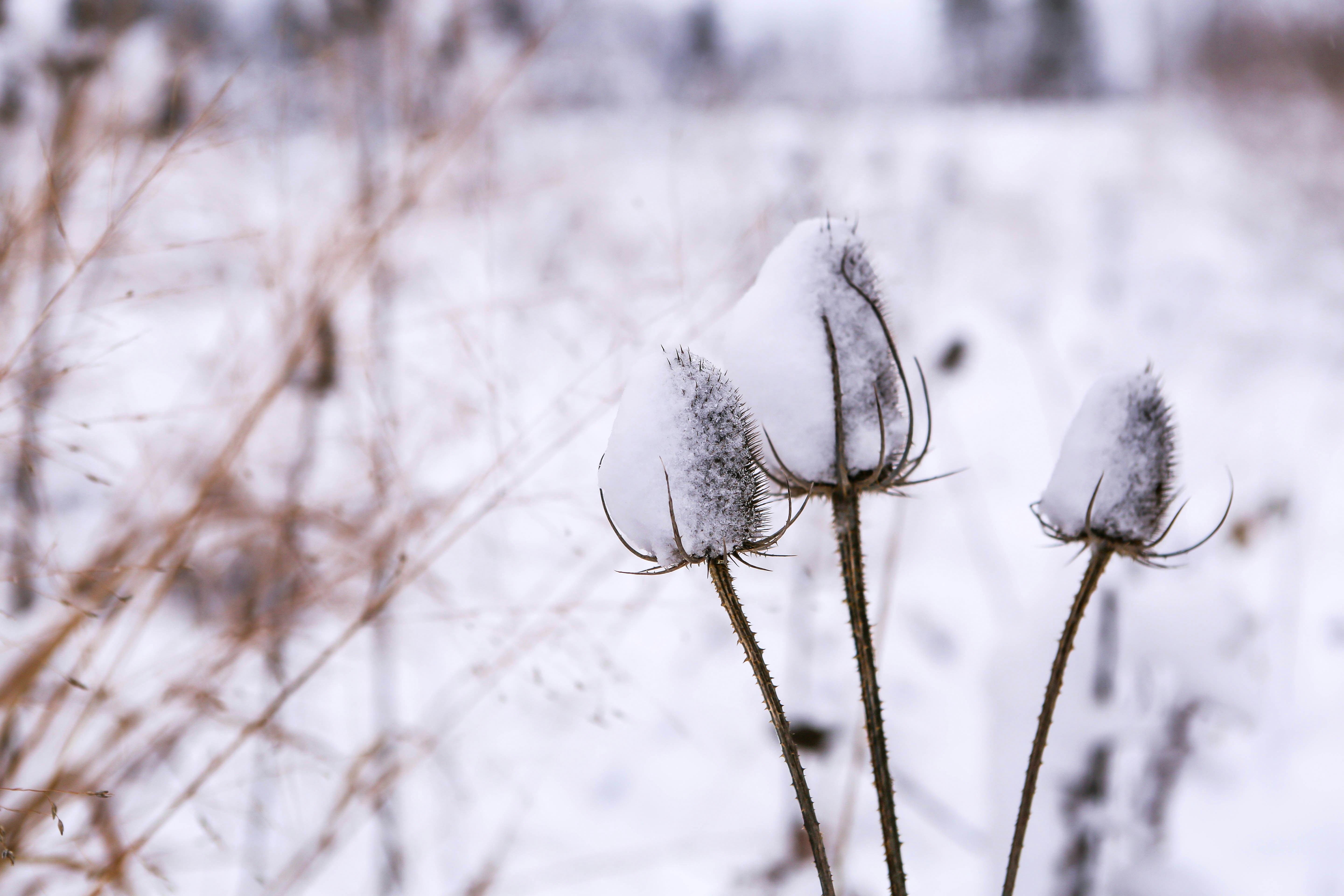 Photo by terry885908