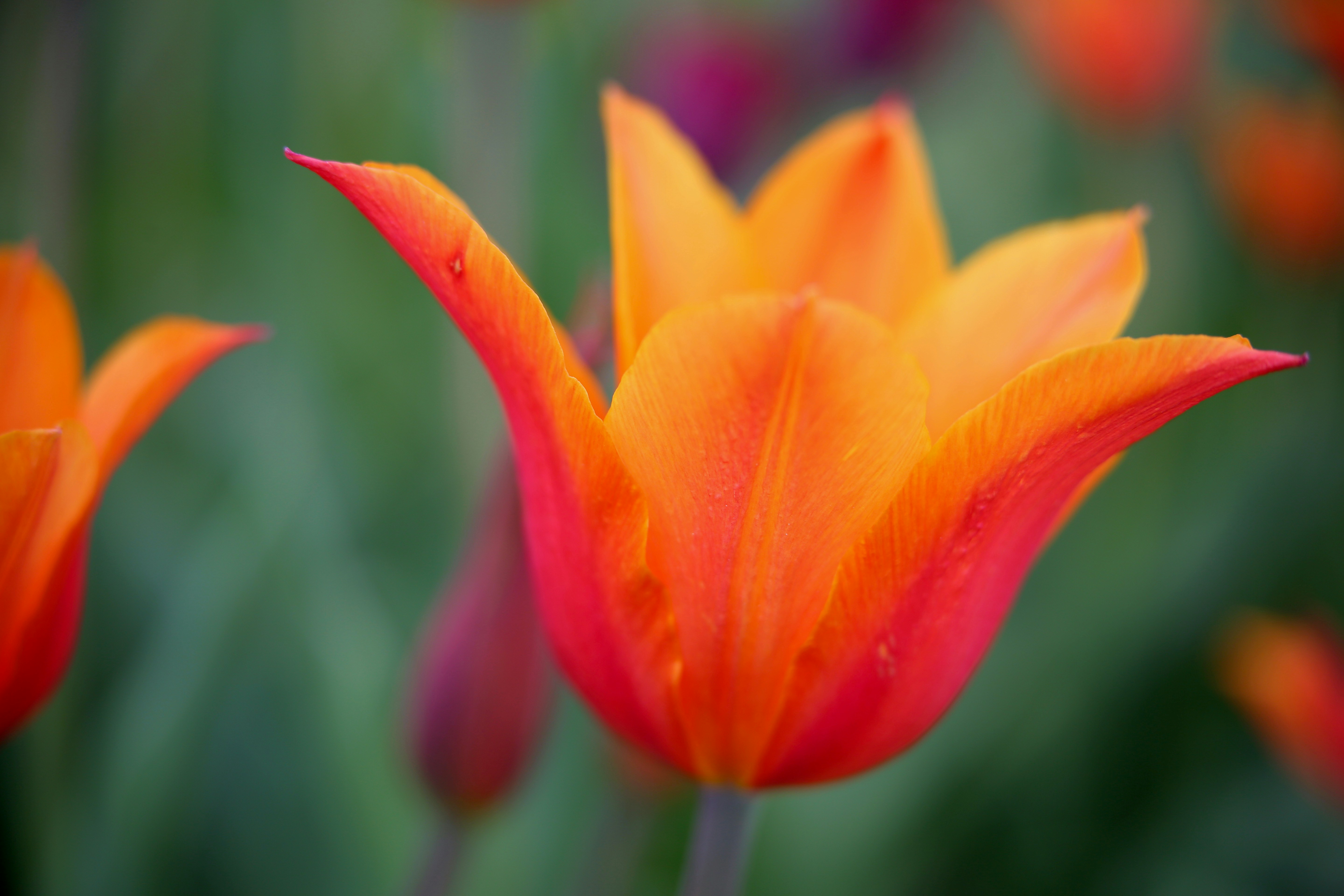 Photo by terry885908