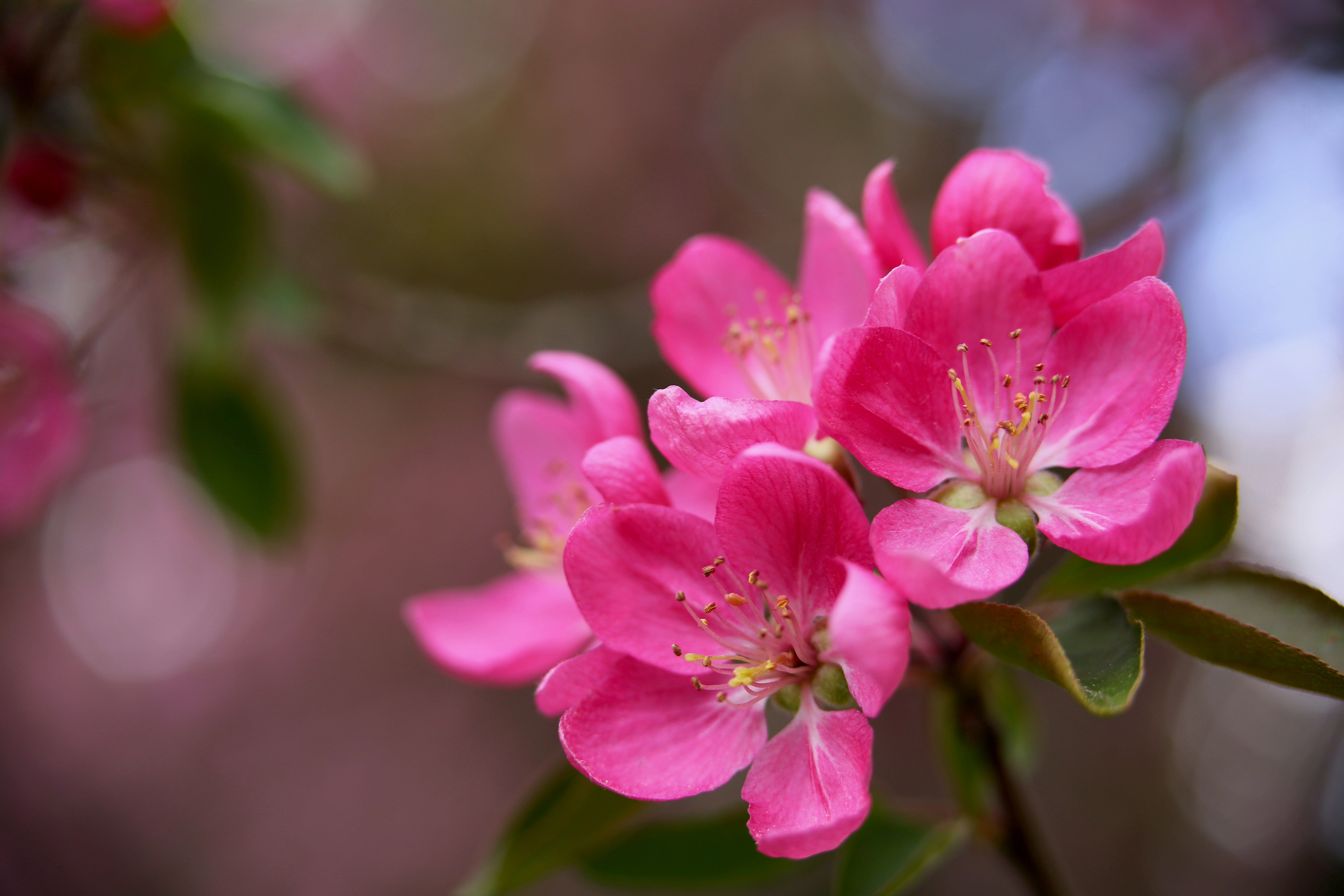 Photo by terry885908