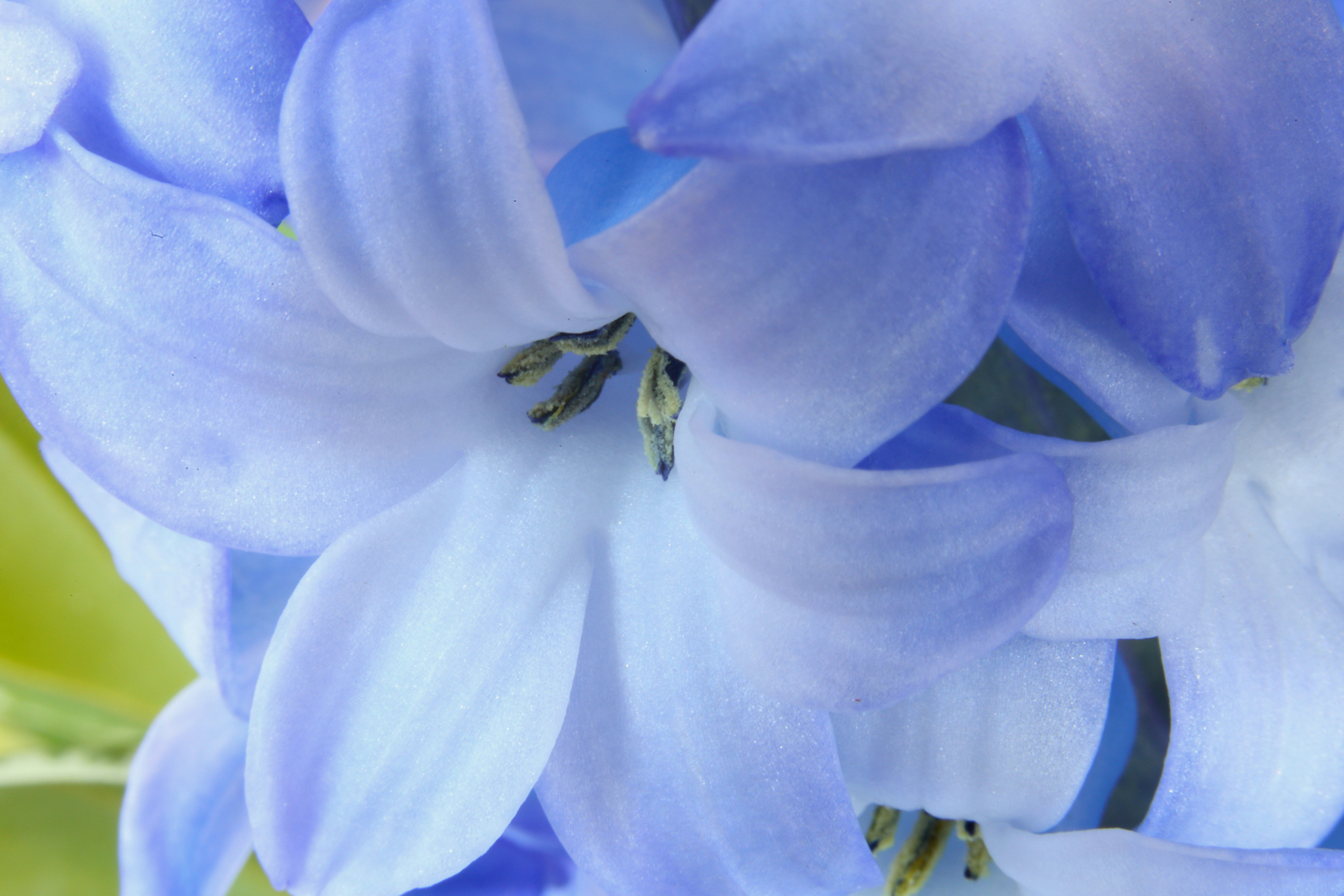 Photo by terry885908