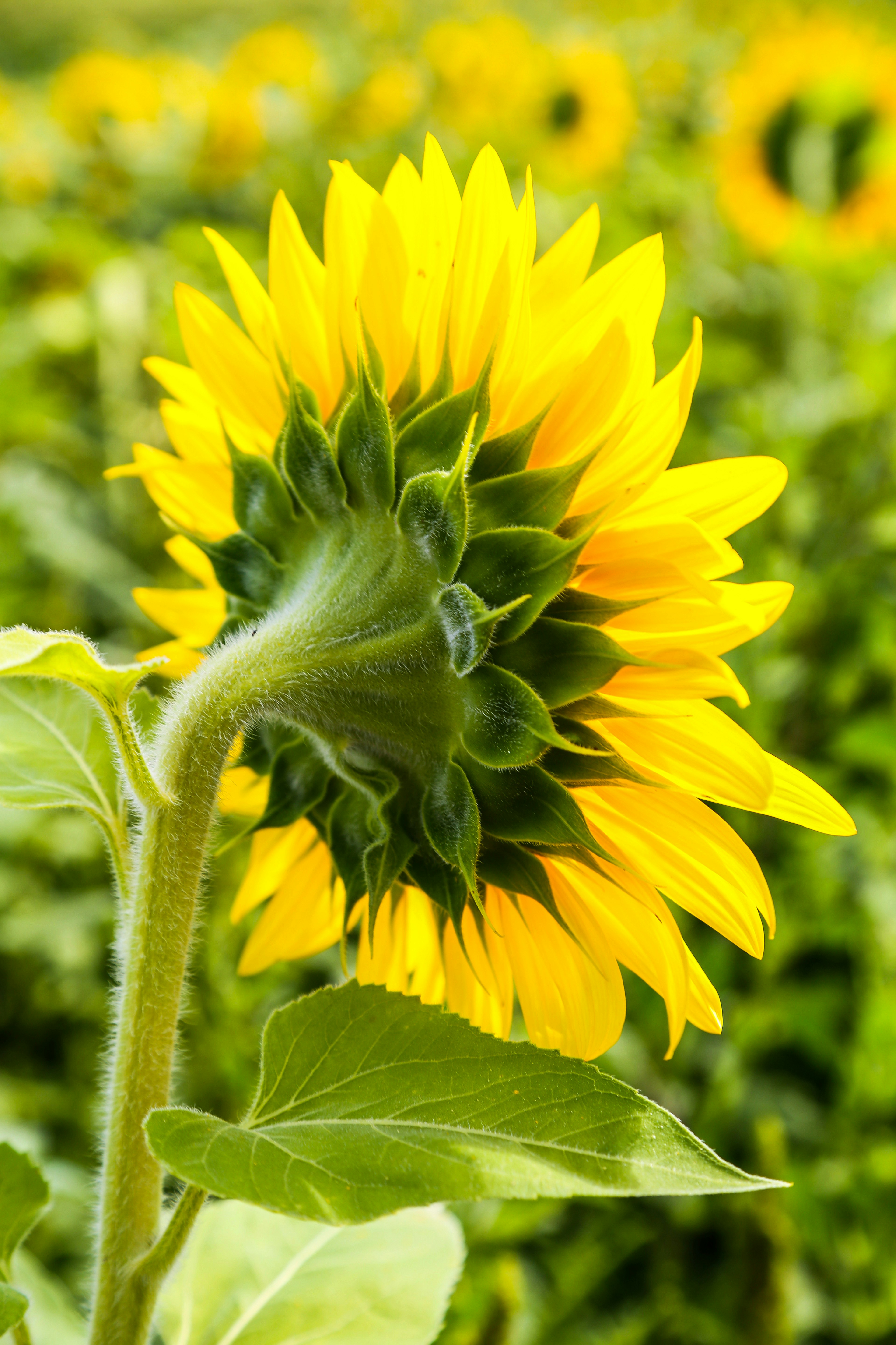 Photo by terry885908