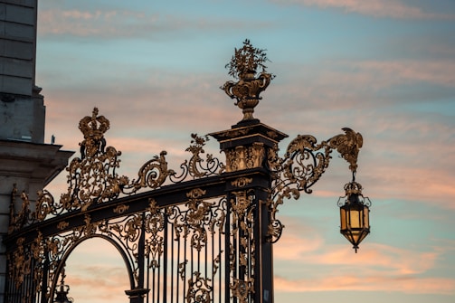 a wrought iron gate with a street light in the background