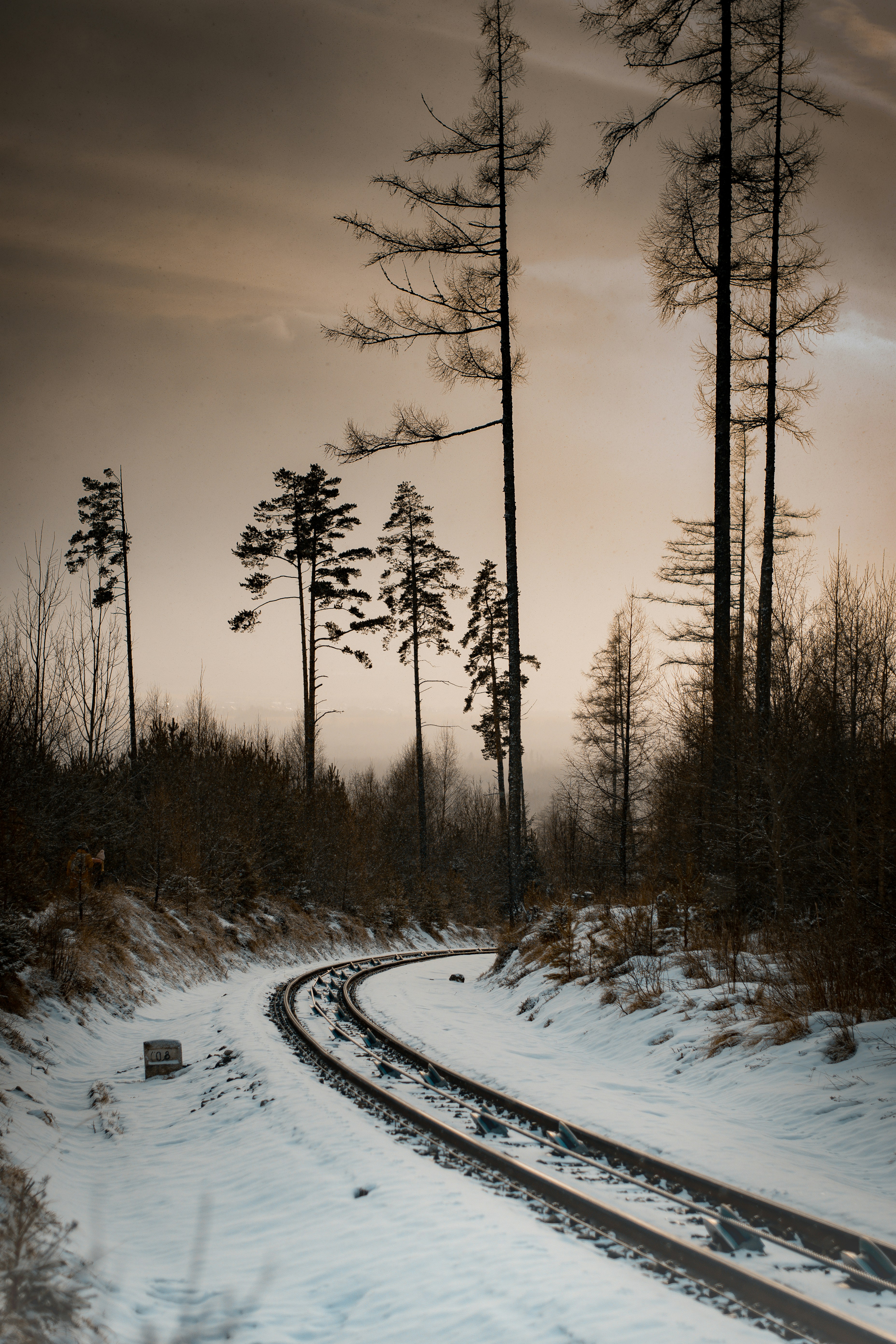 Photo by martin31