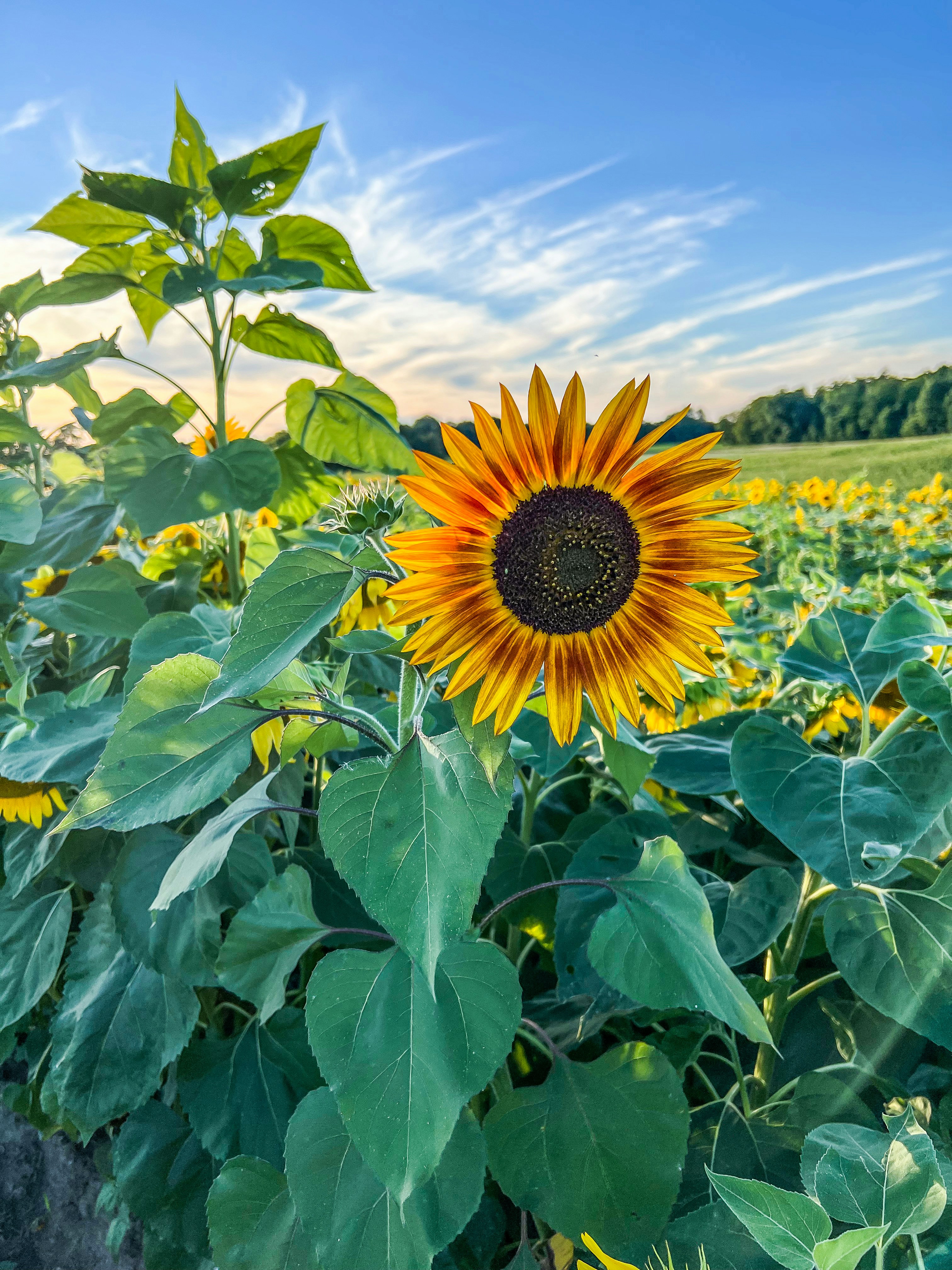 Photo by terry885908