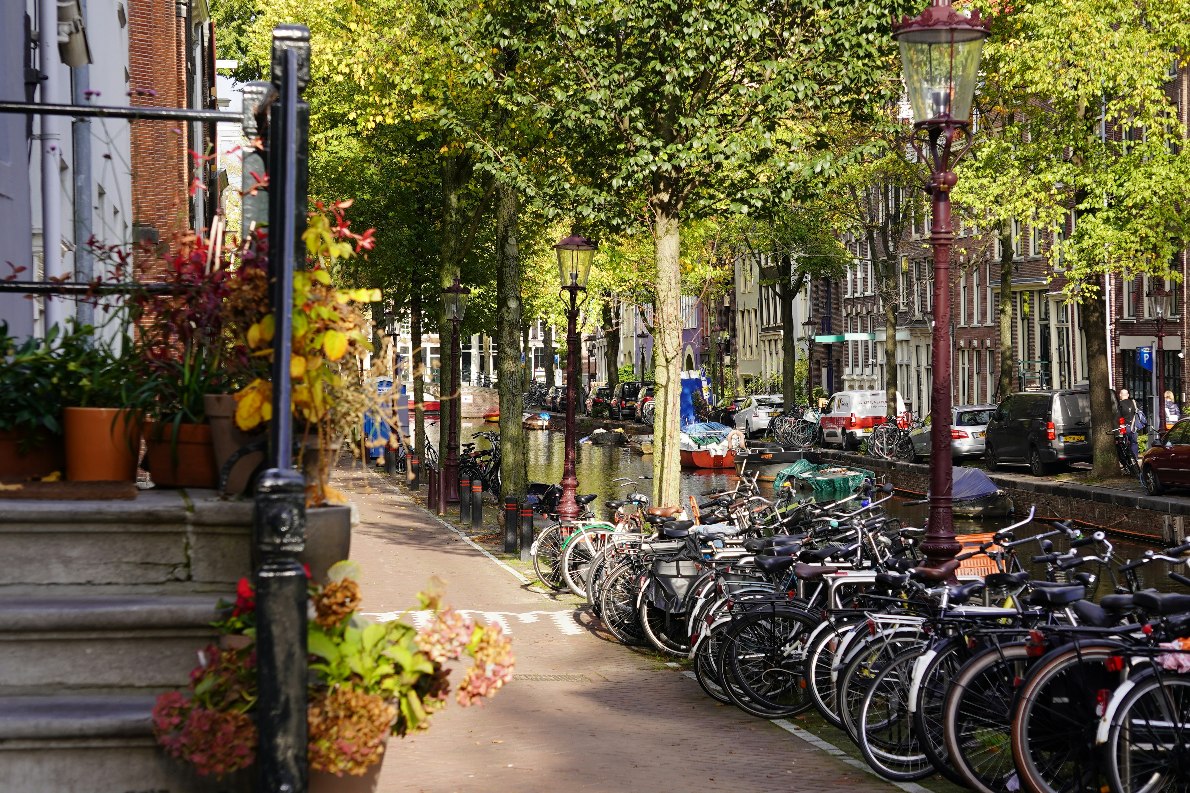 a row of bikes parked on the side of a street