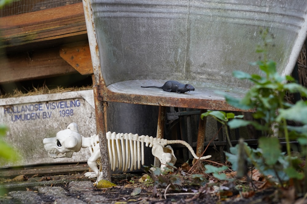 a rat is sitting on a chair next to a radiator