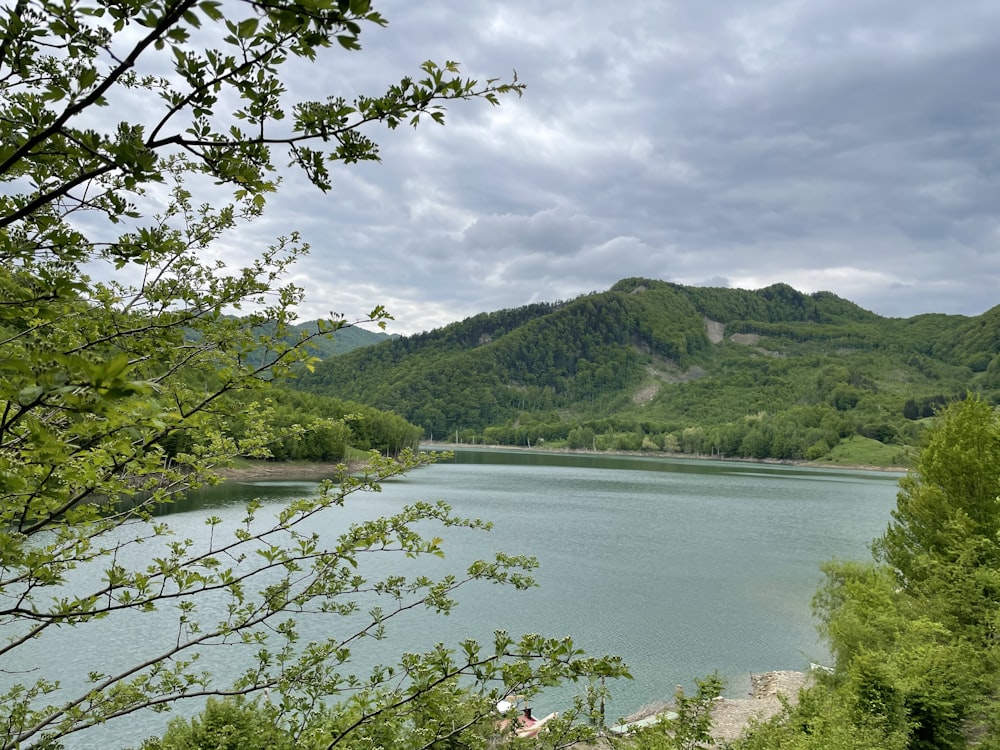 a large body of water surrounded by trees