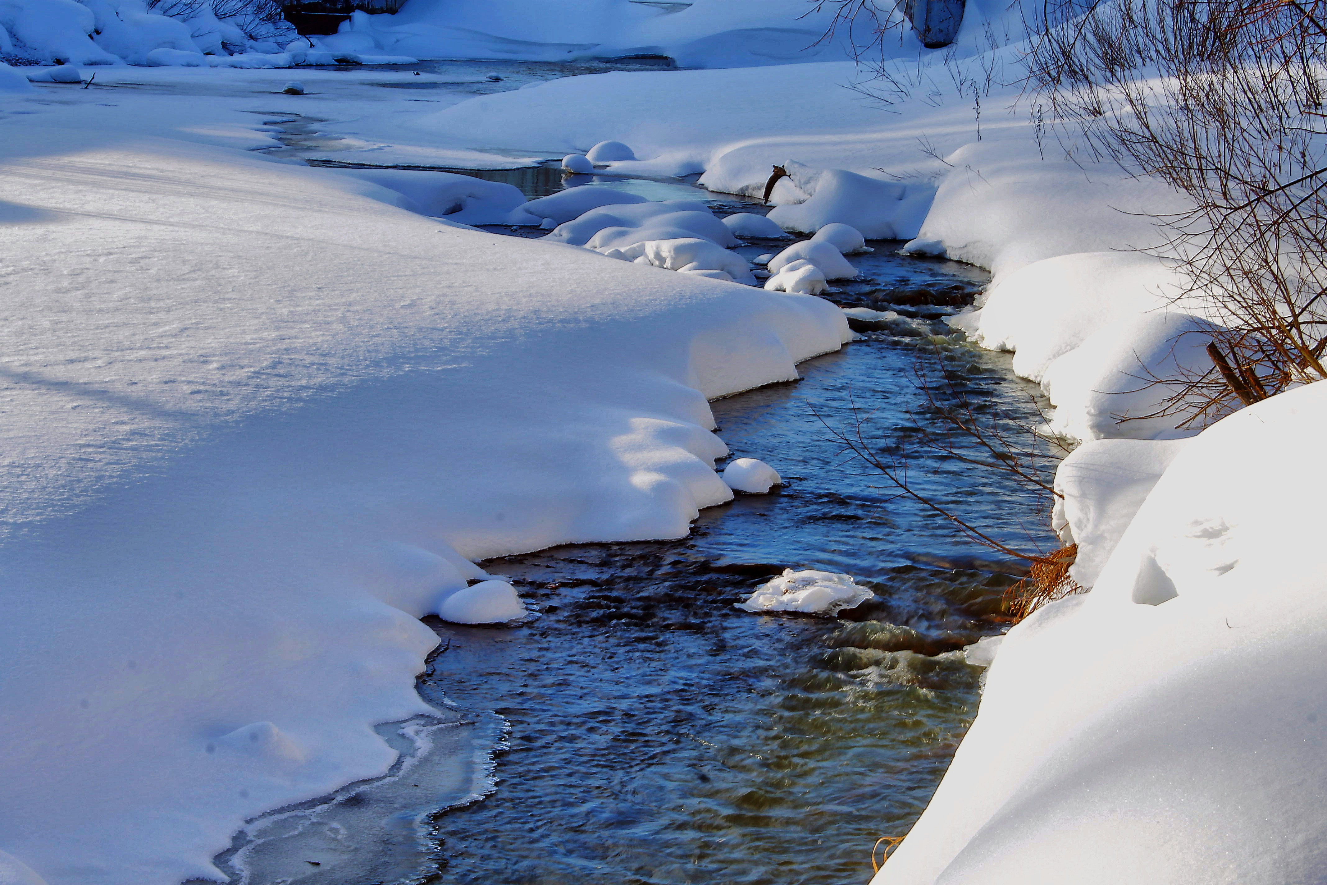 Photo by dragoncy635