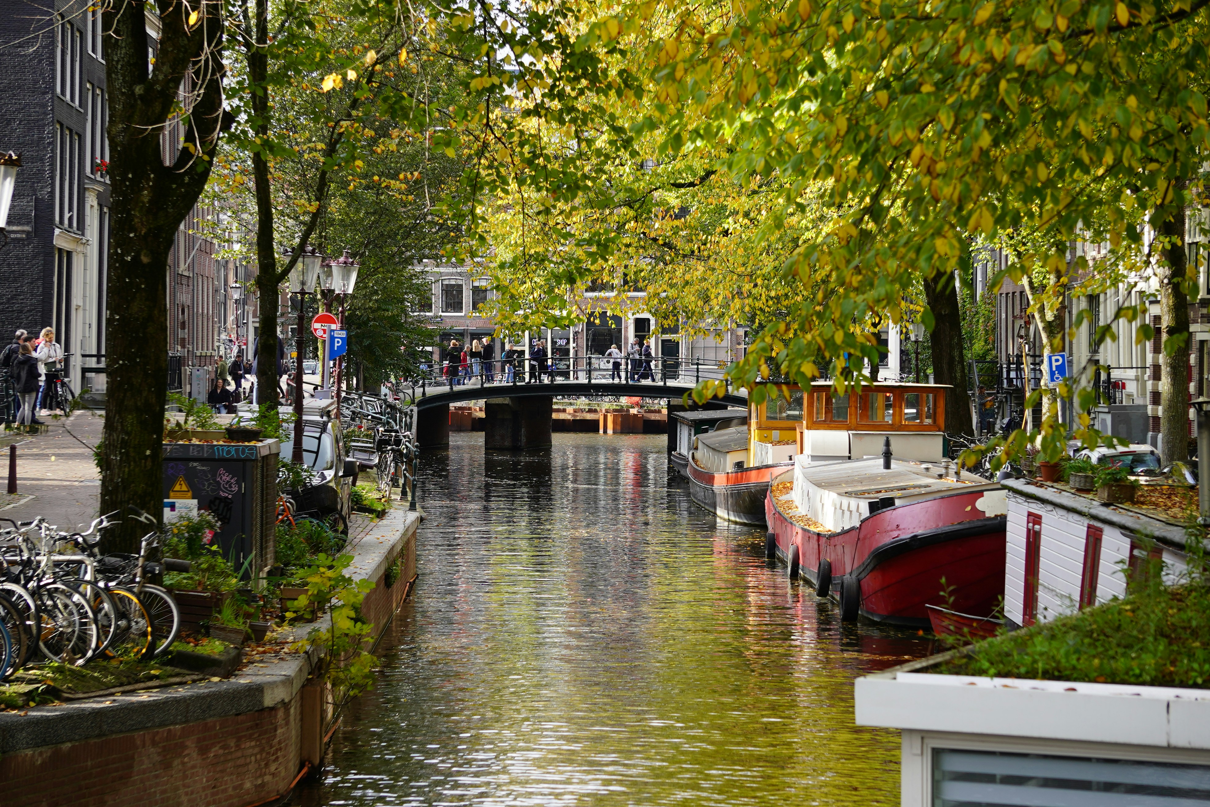 Photo by filip_mishevski