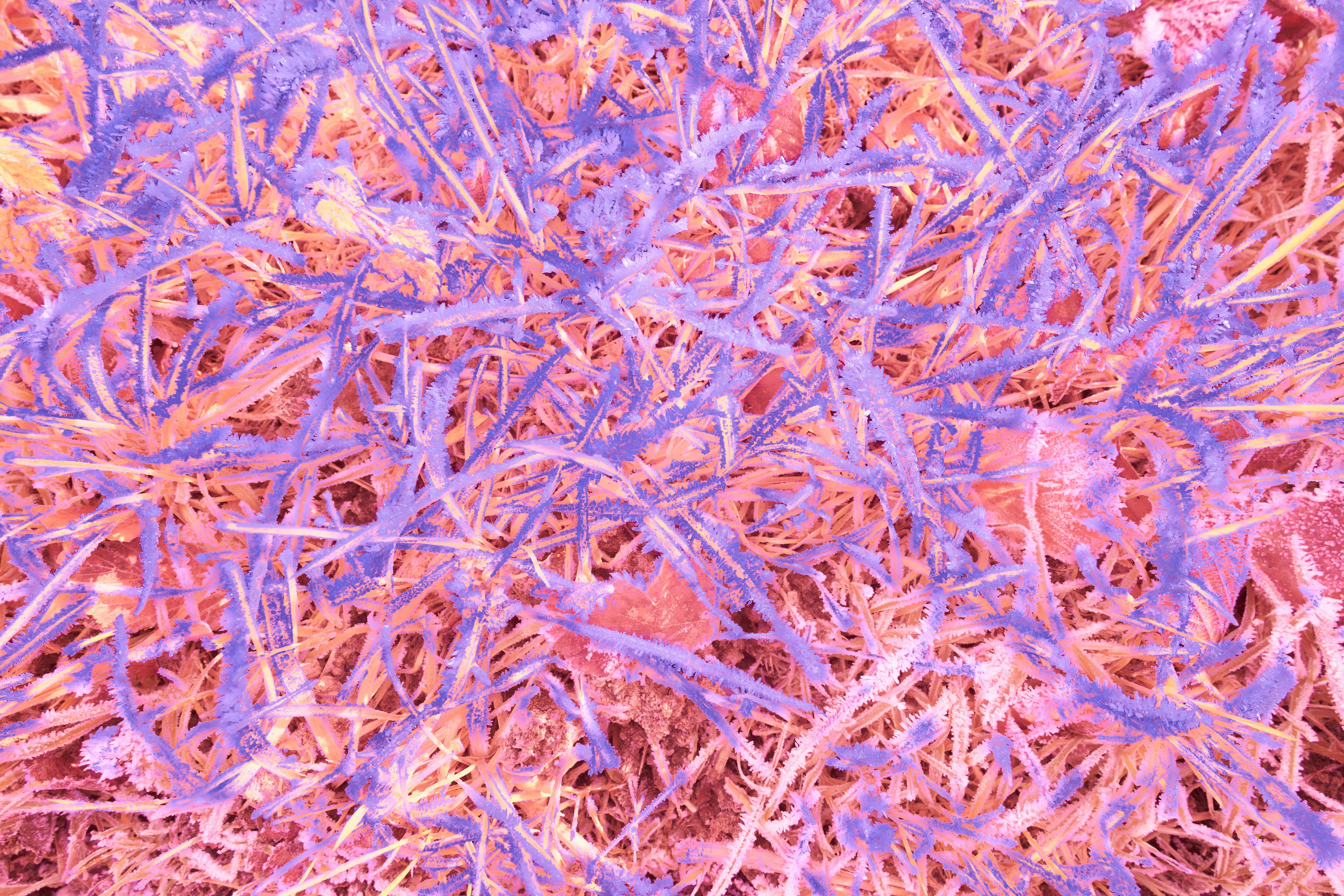 Photo by wolfgang_hasselmann