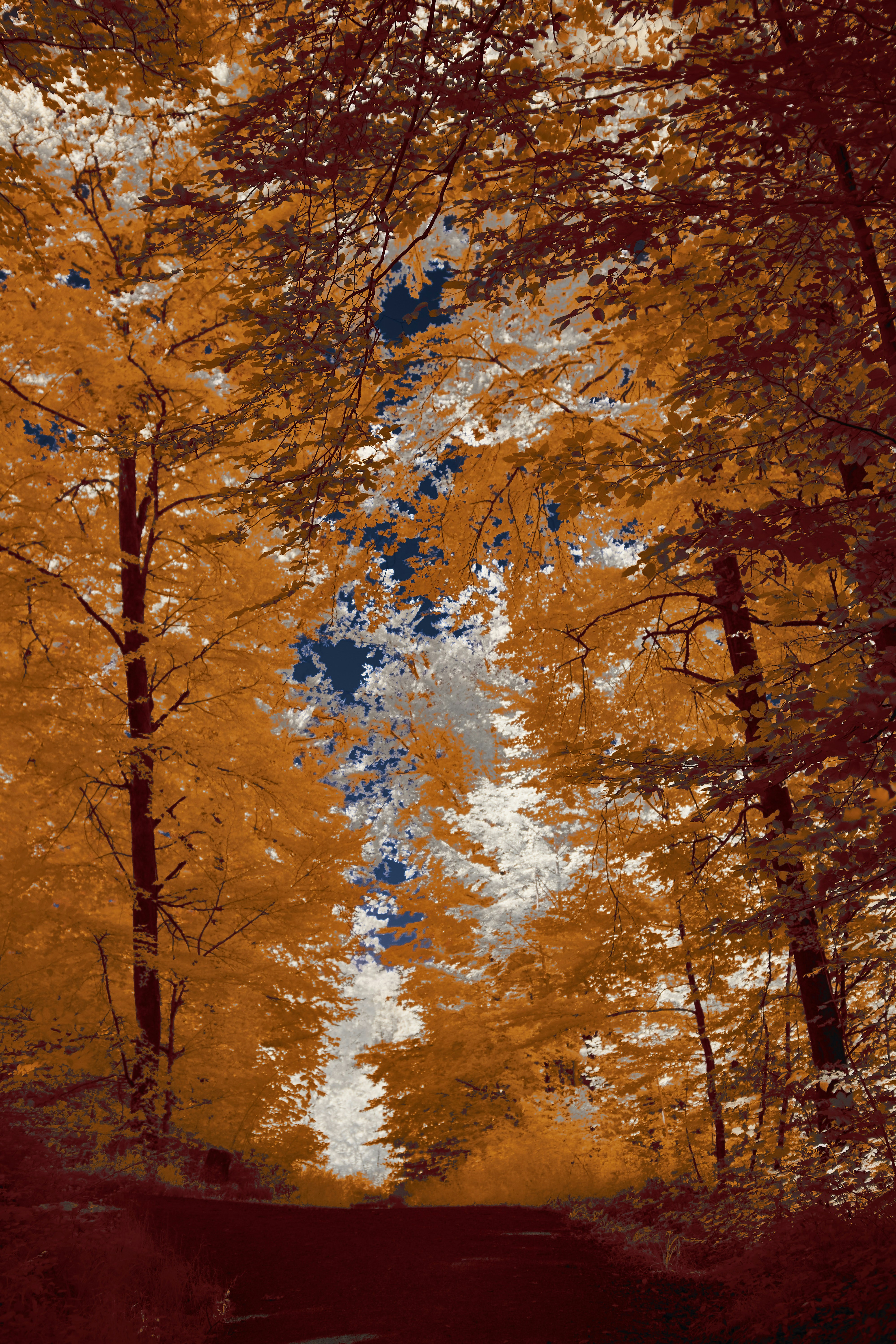 Photo by wolfgang_hasselmann