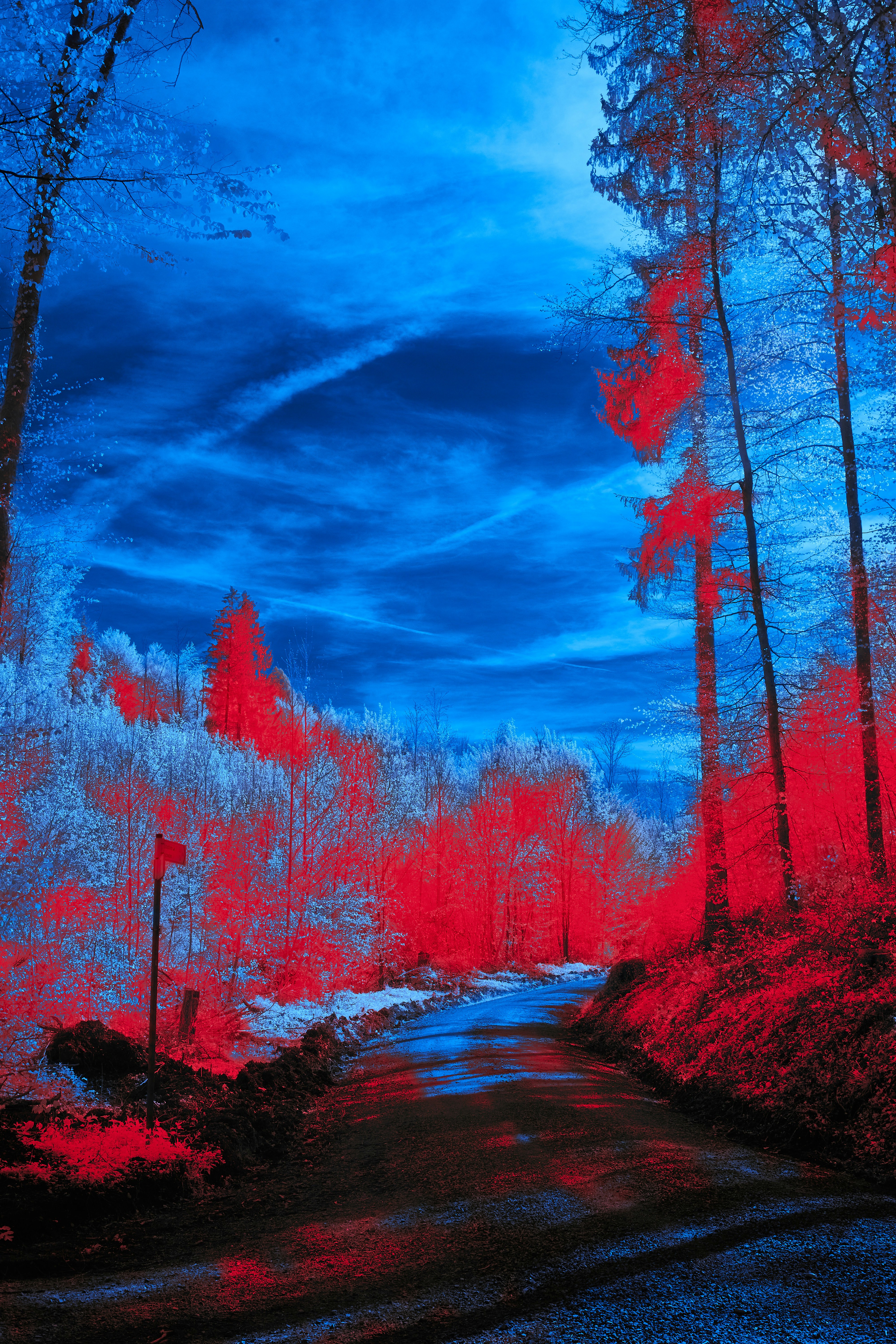 Photo by wolfgang_hasselmann