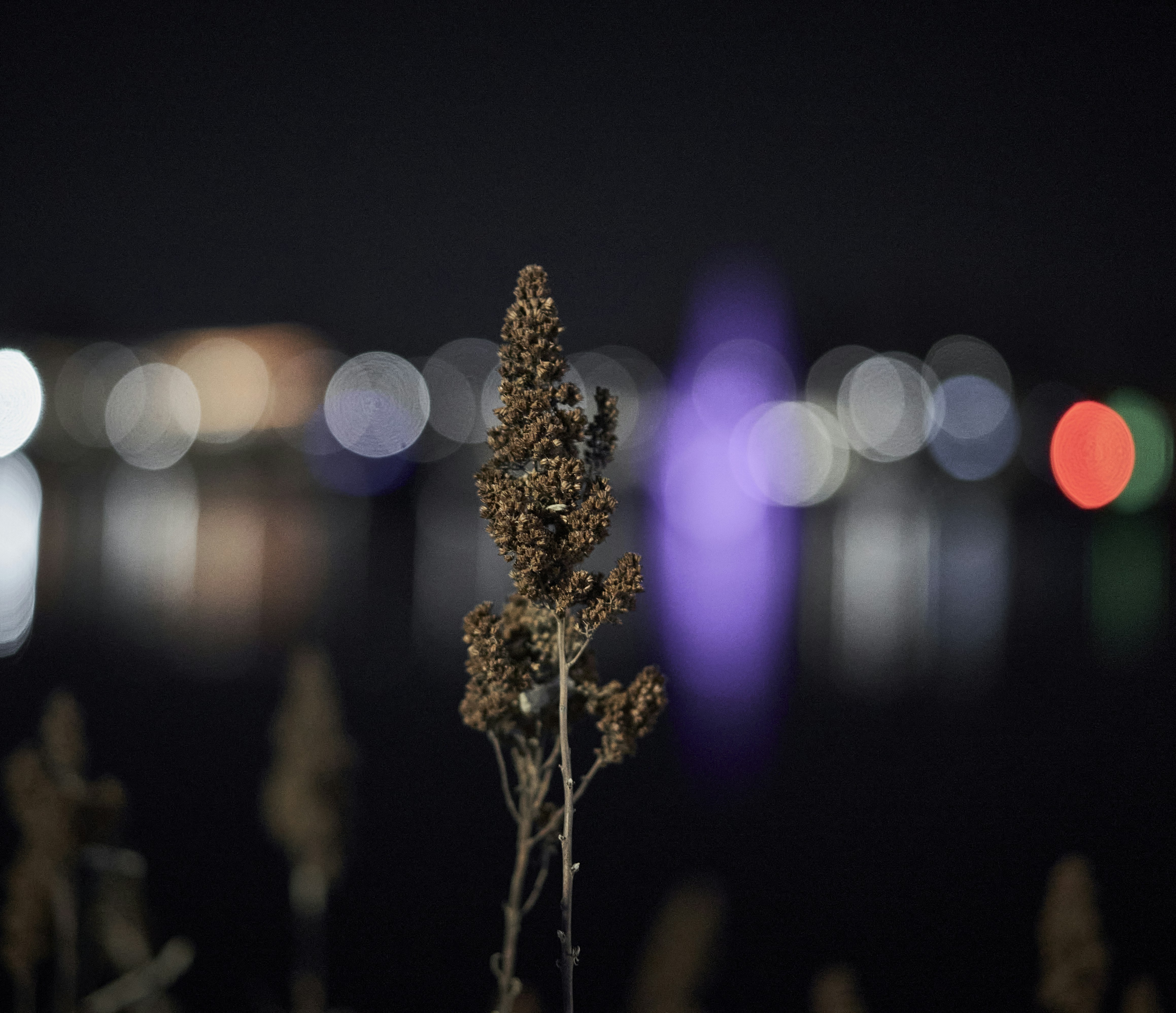 Photograph by Ashwini Chaudhary