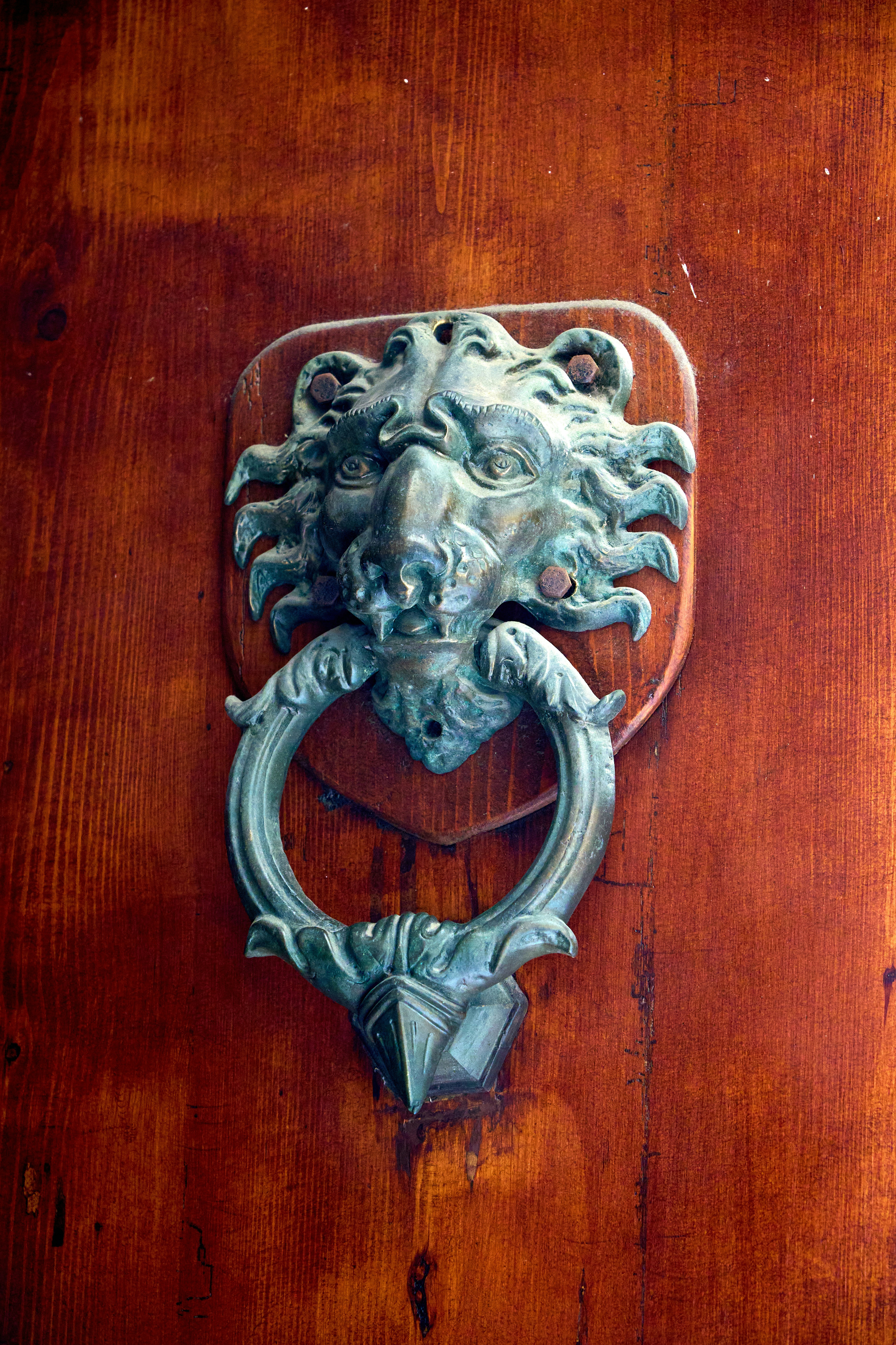 Photo by wolfgang_hasselmann