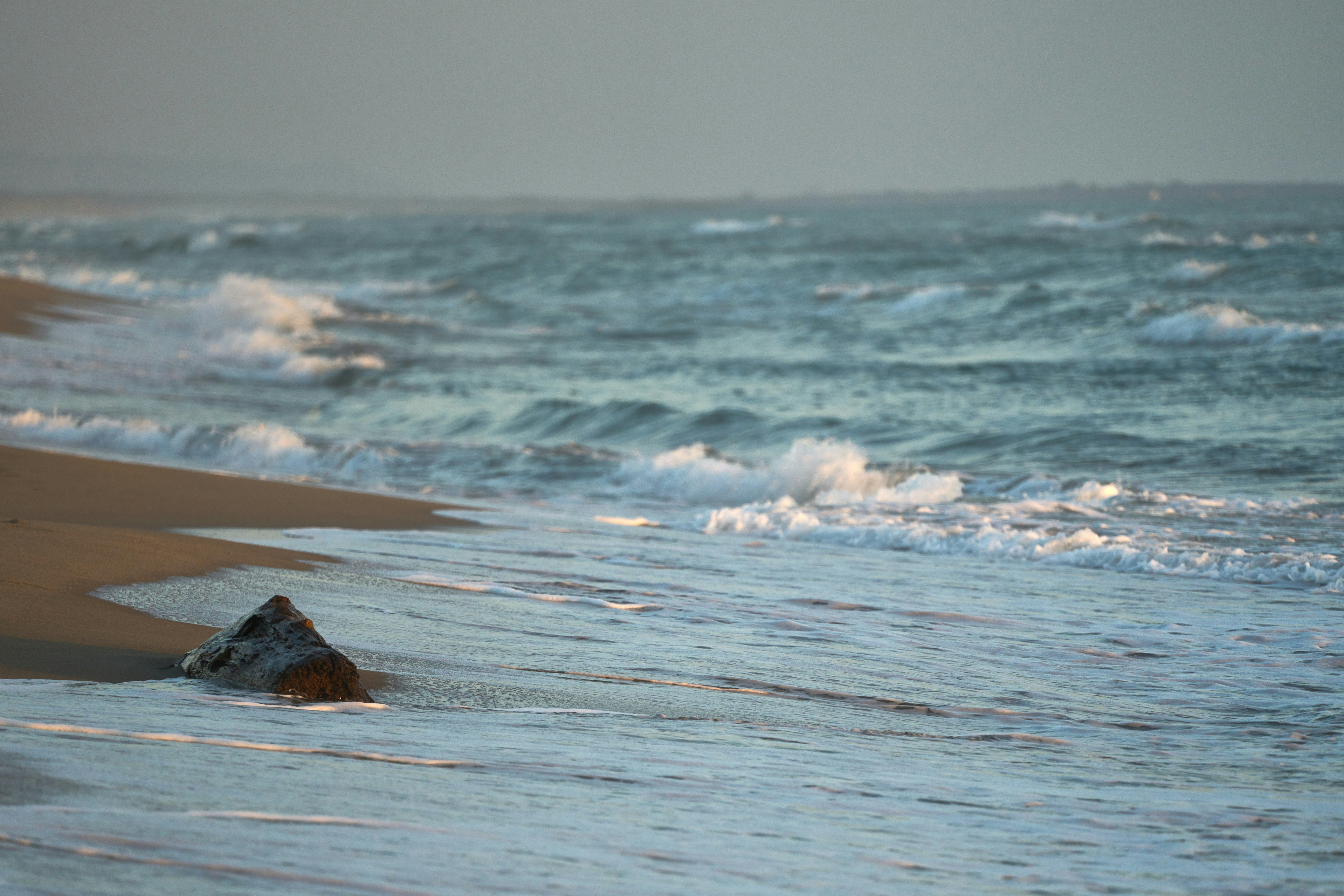 Photo by wolfgang_hasselmann