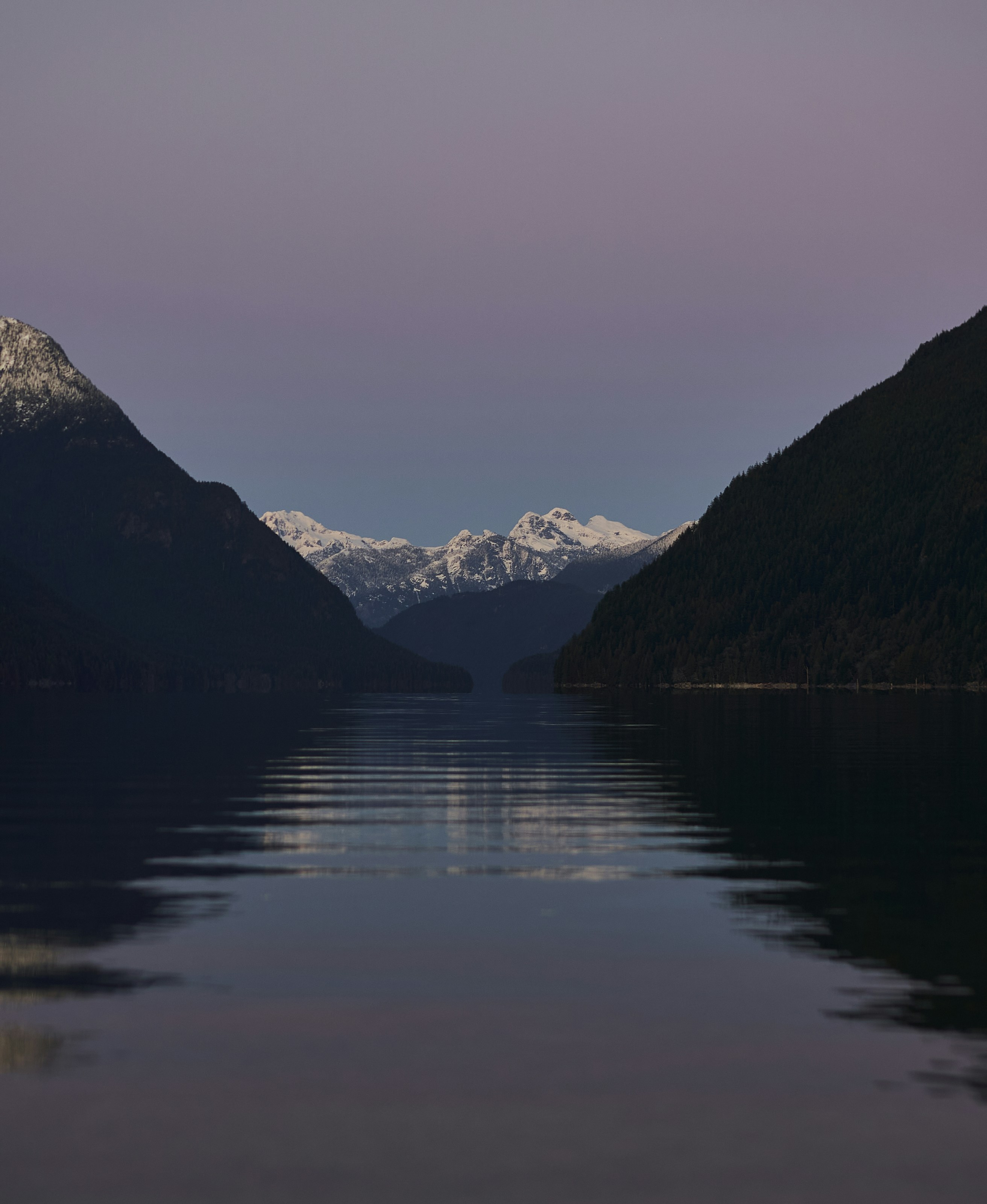 Photo by suicide_chewbacca