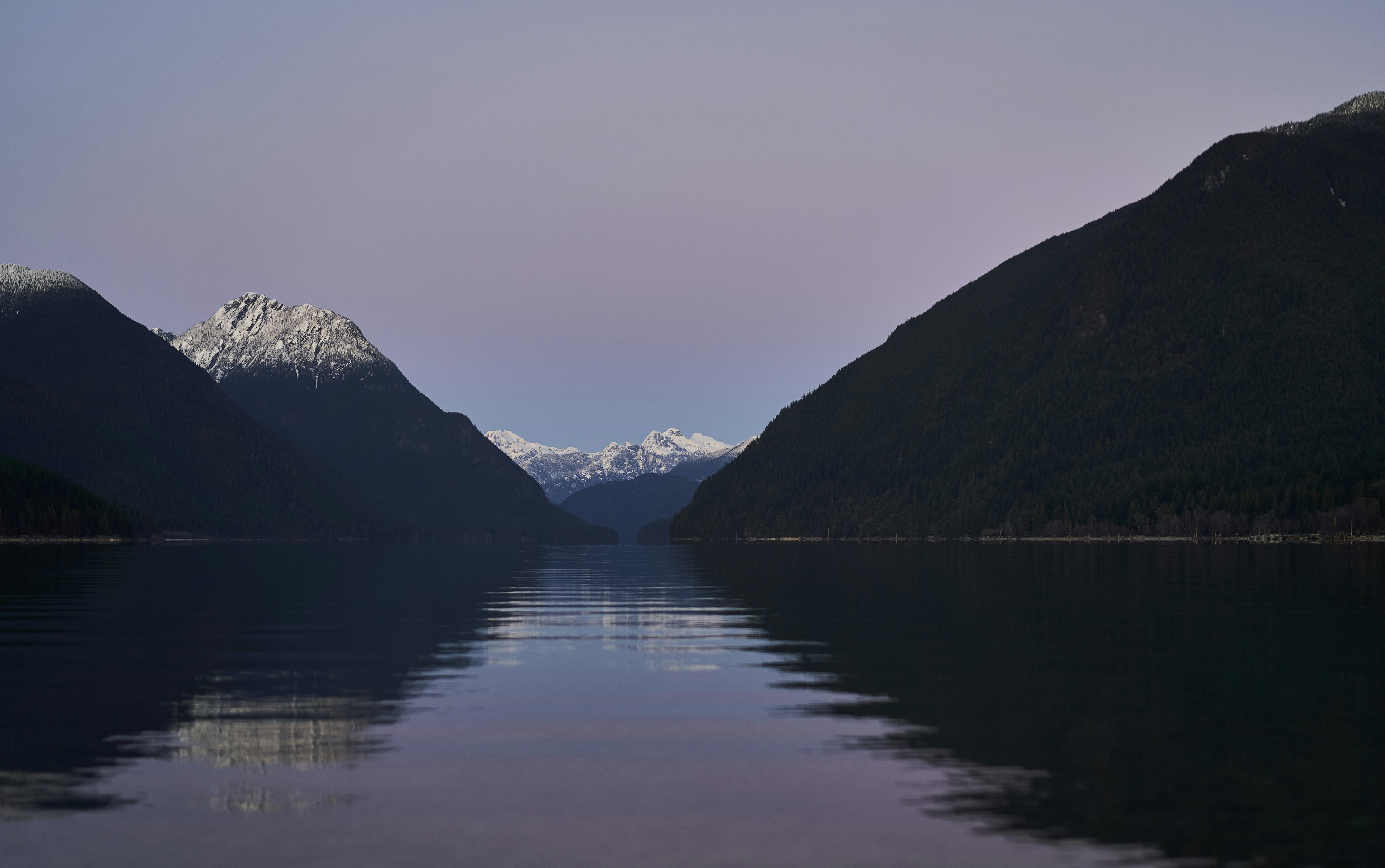 Photo by suicide_chewbacca