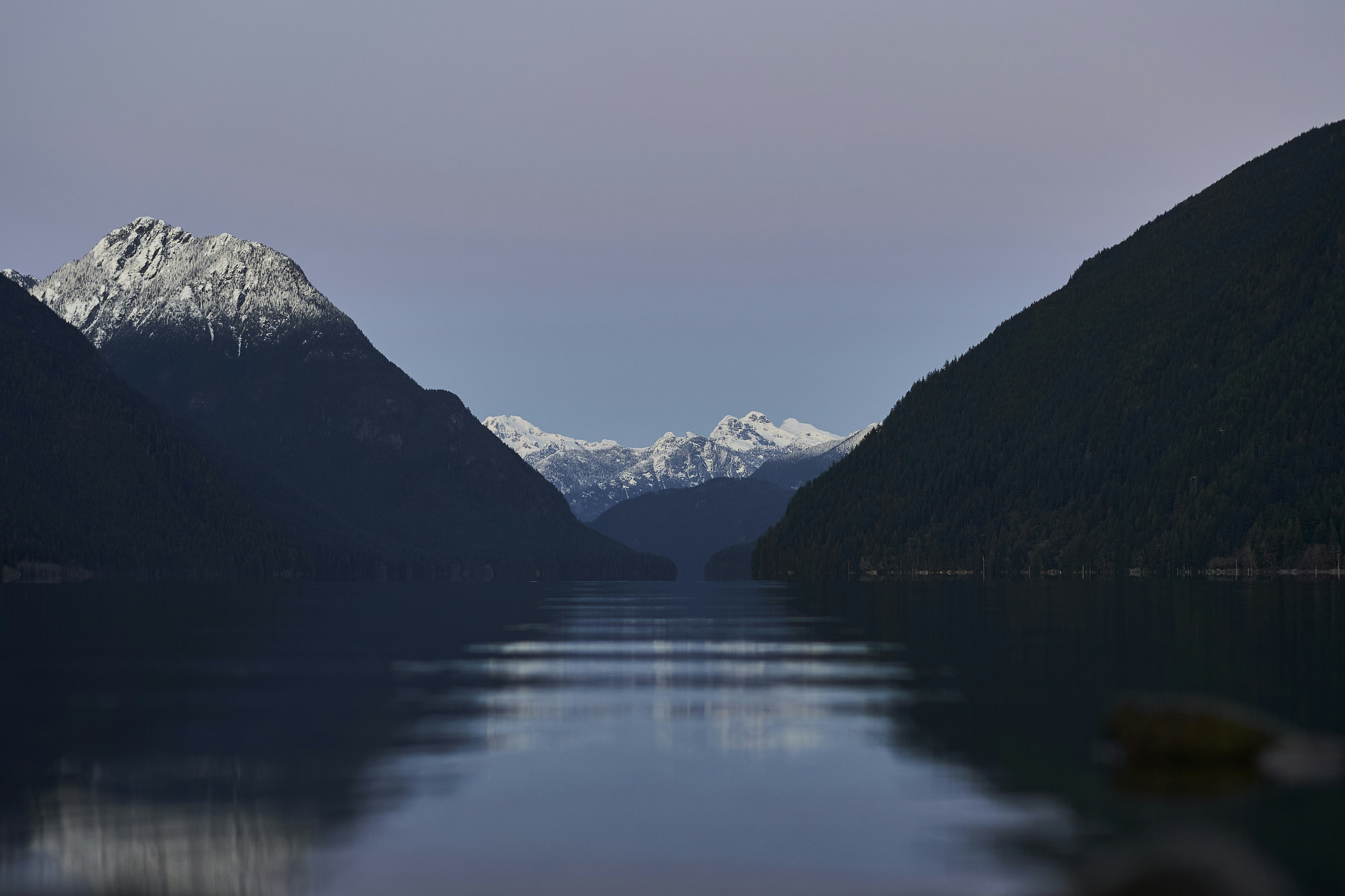 Photo by suicide_chewbacca