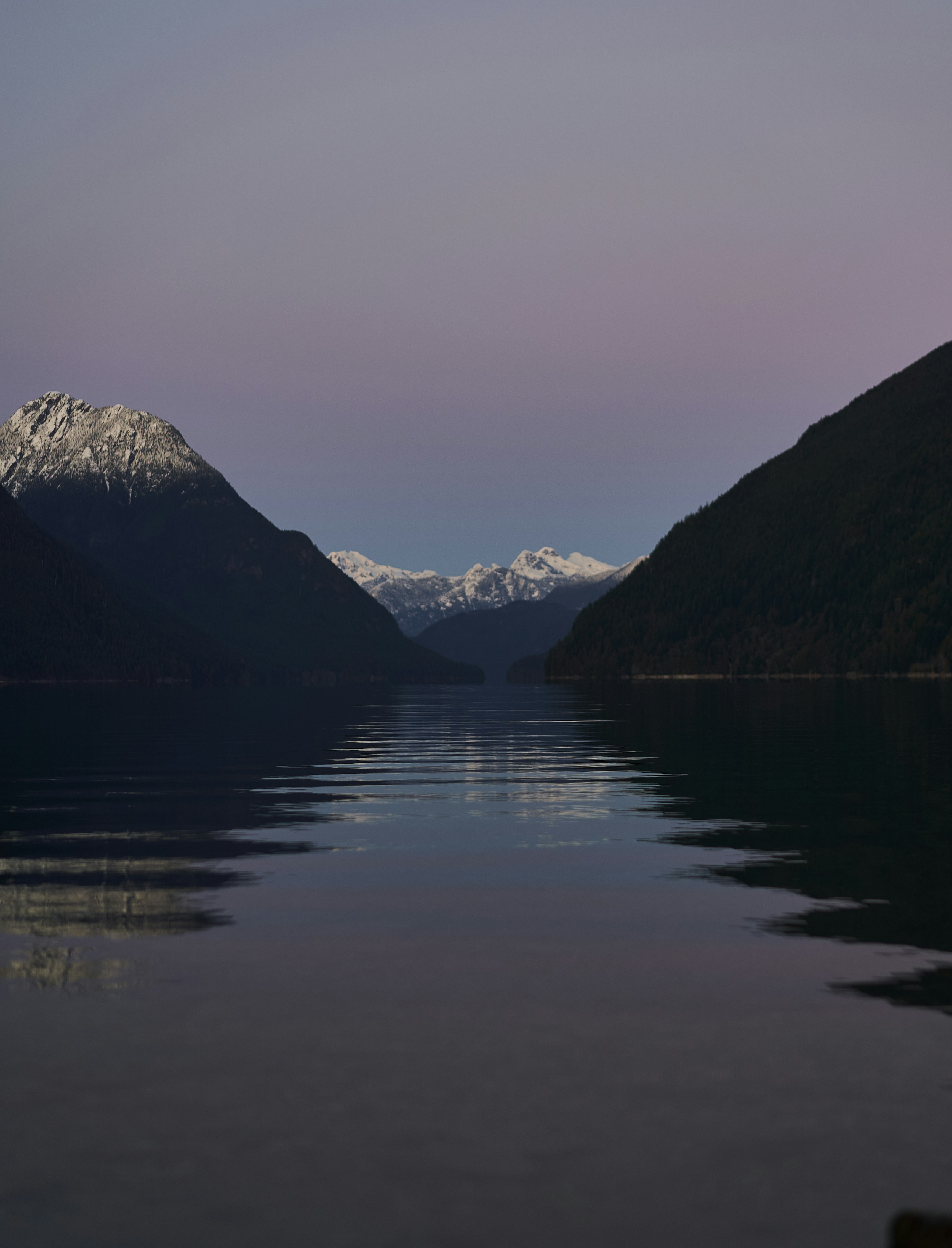 Photo by suicide_chewbacca