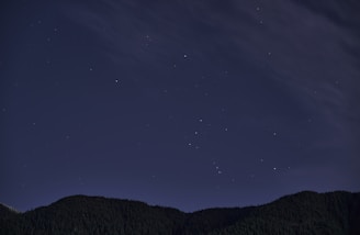 Night sky filled with stars above a silhouetted forest line.