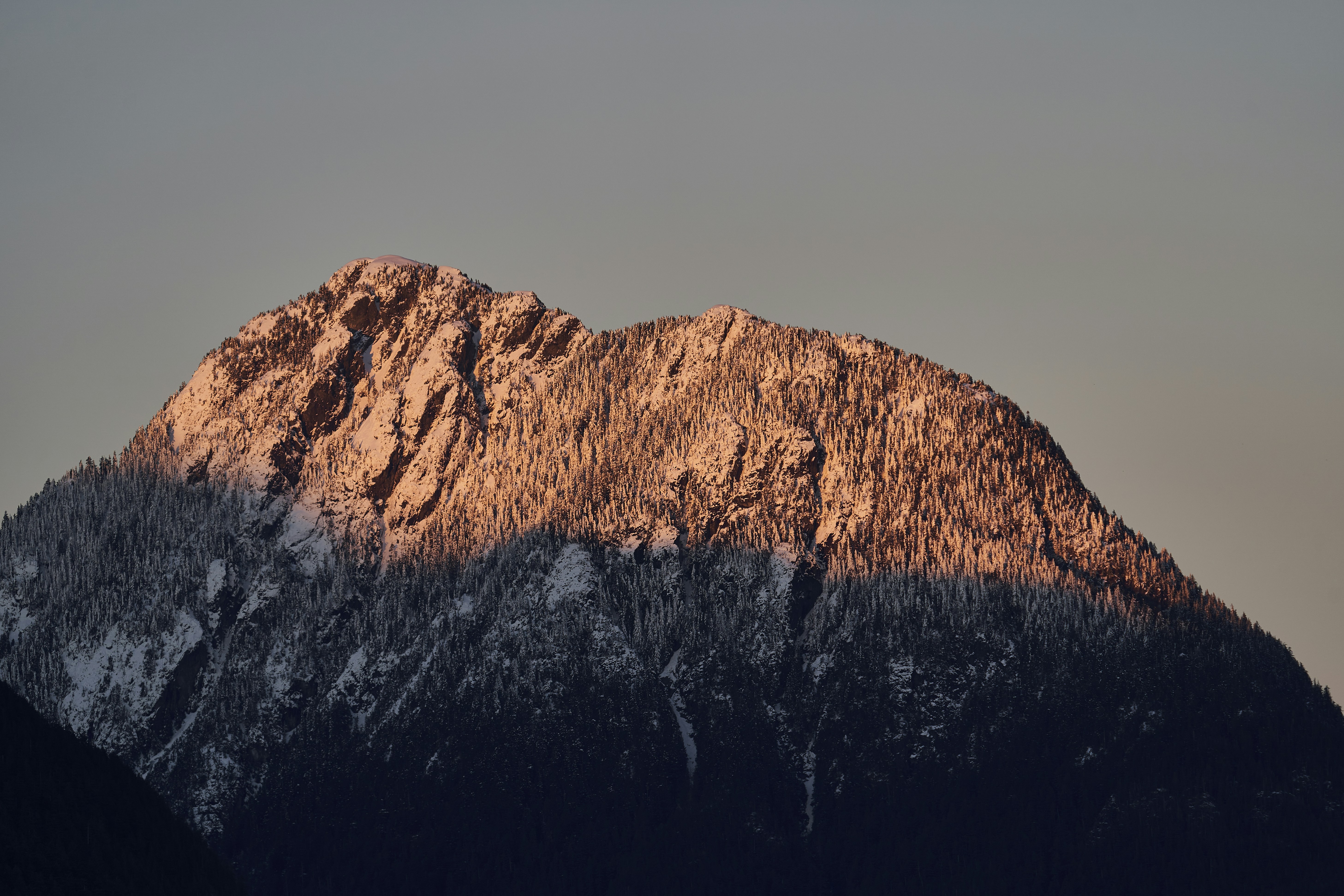 Photo by suicide_chewbacca