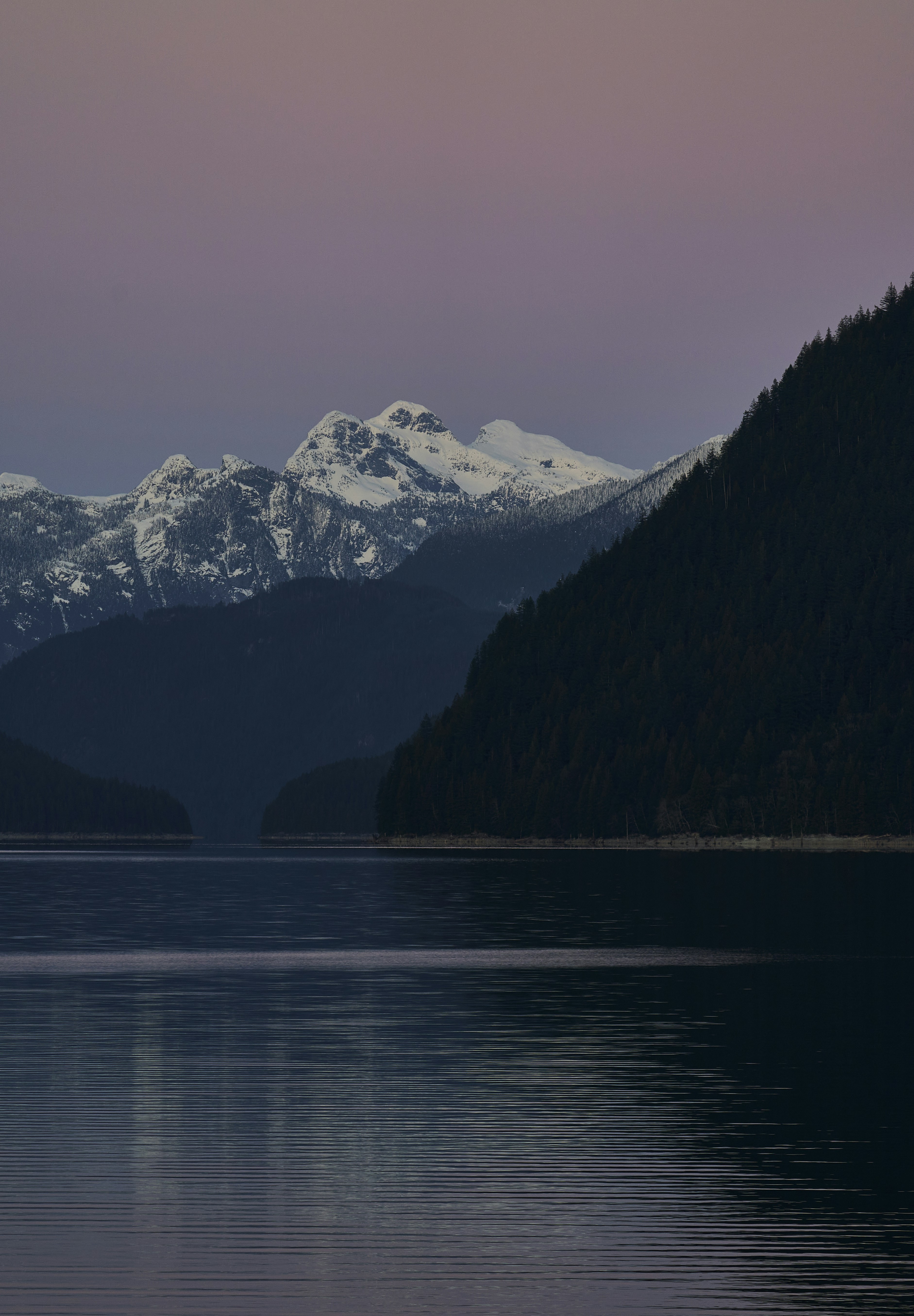 Photo by suicide_chewbacca