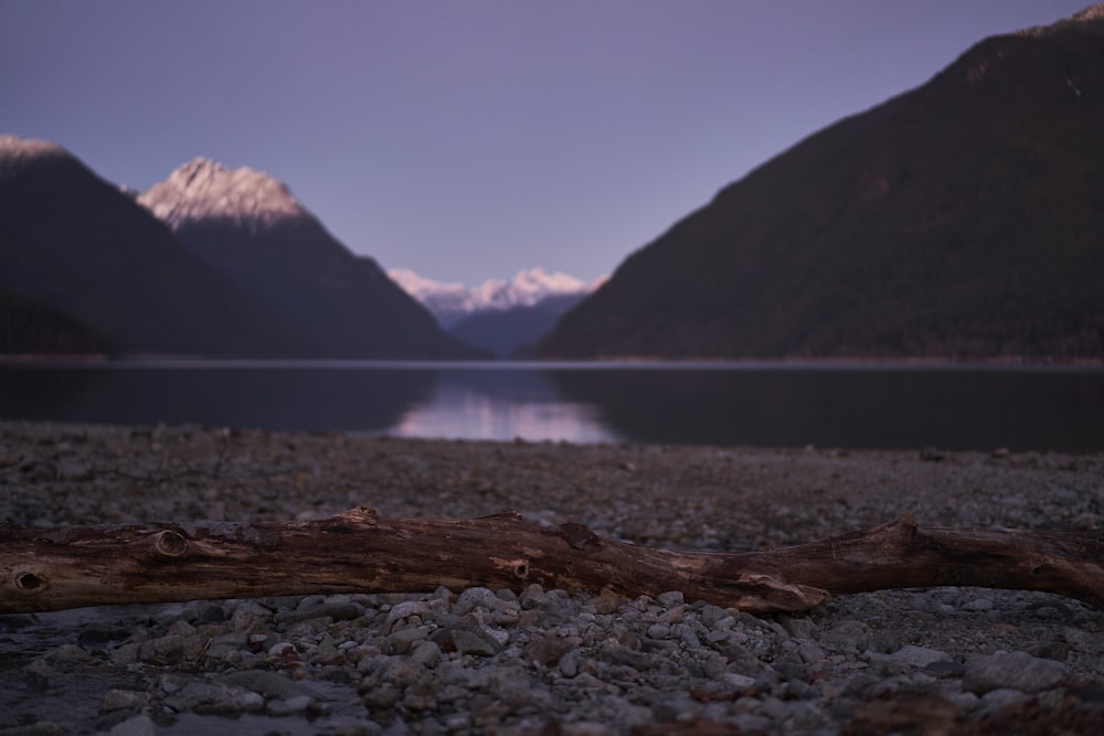 a log laying on the ground next to a body of water