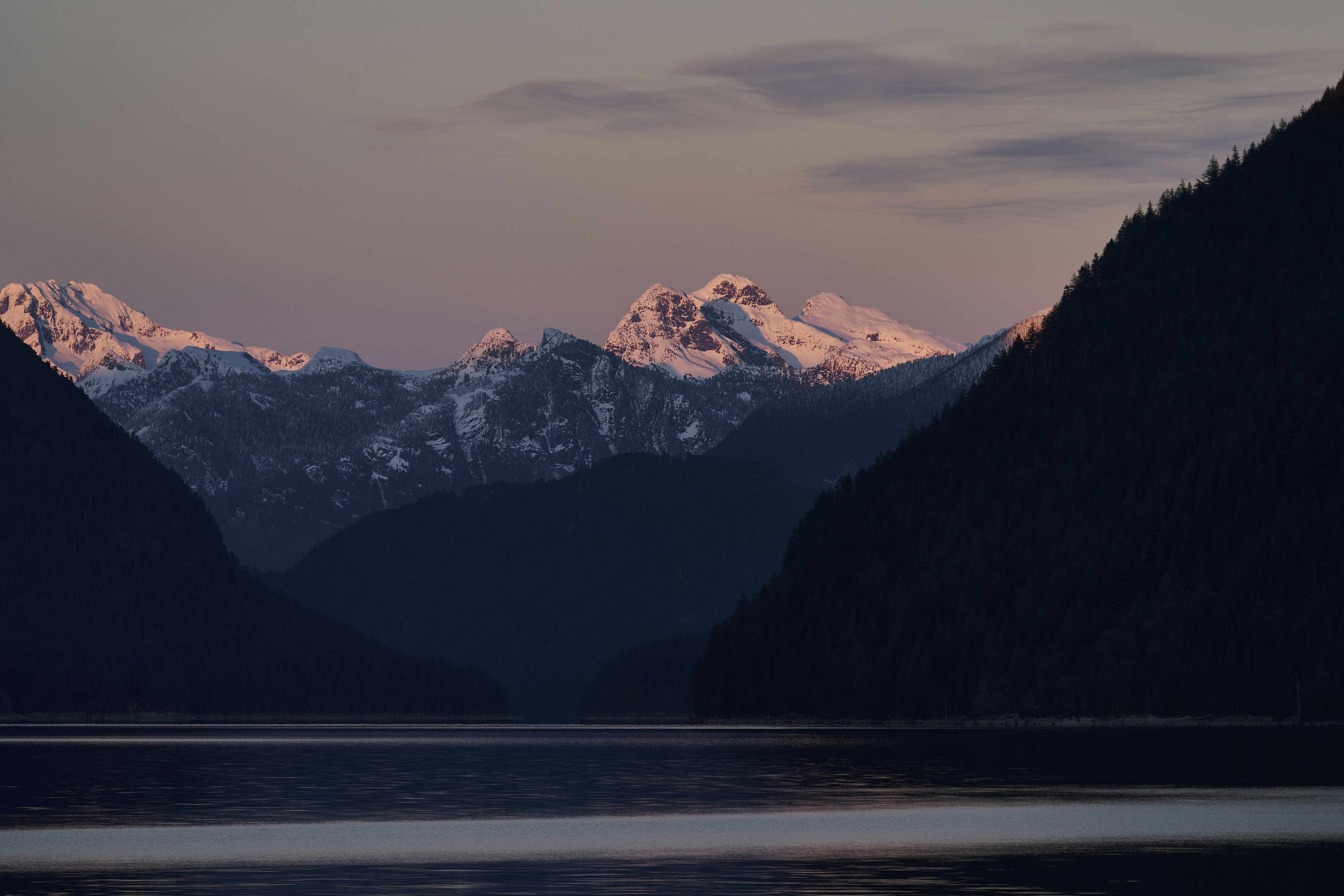 Photo by suicide_chewbacca