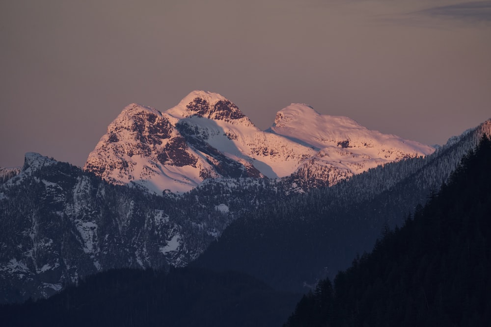 a snow covered mountain range with trees in the foreground