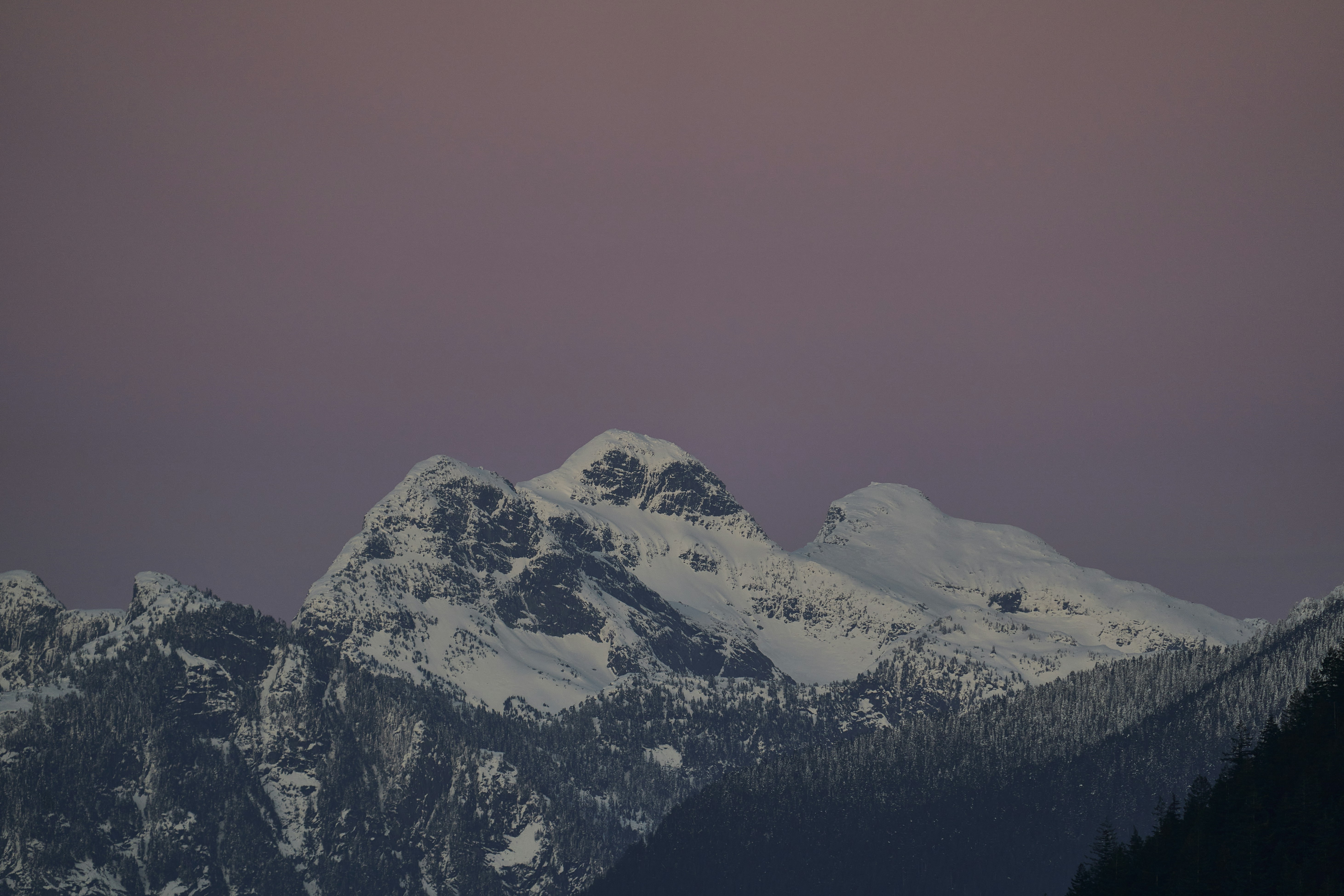 Photo by suicide_chewbacca