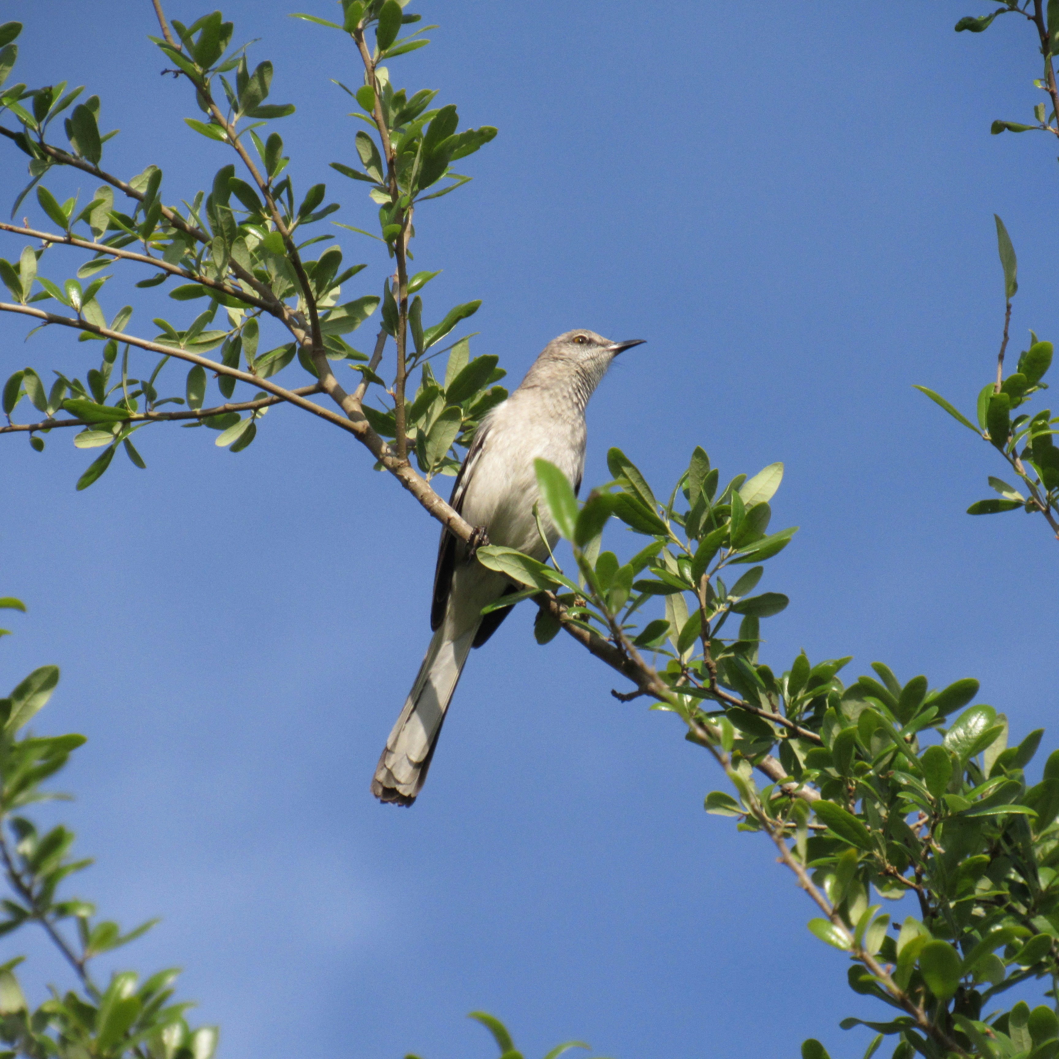 Photo by sierrasphotography03