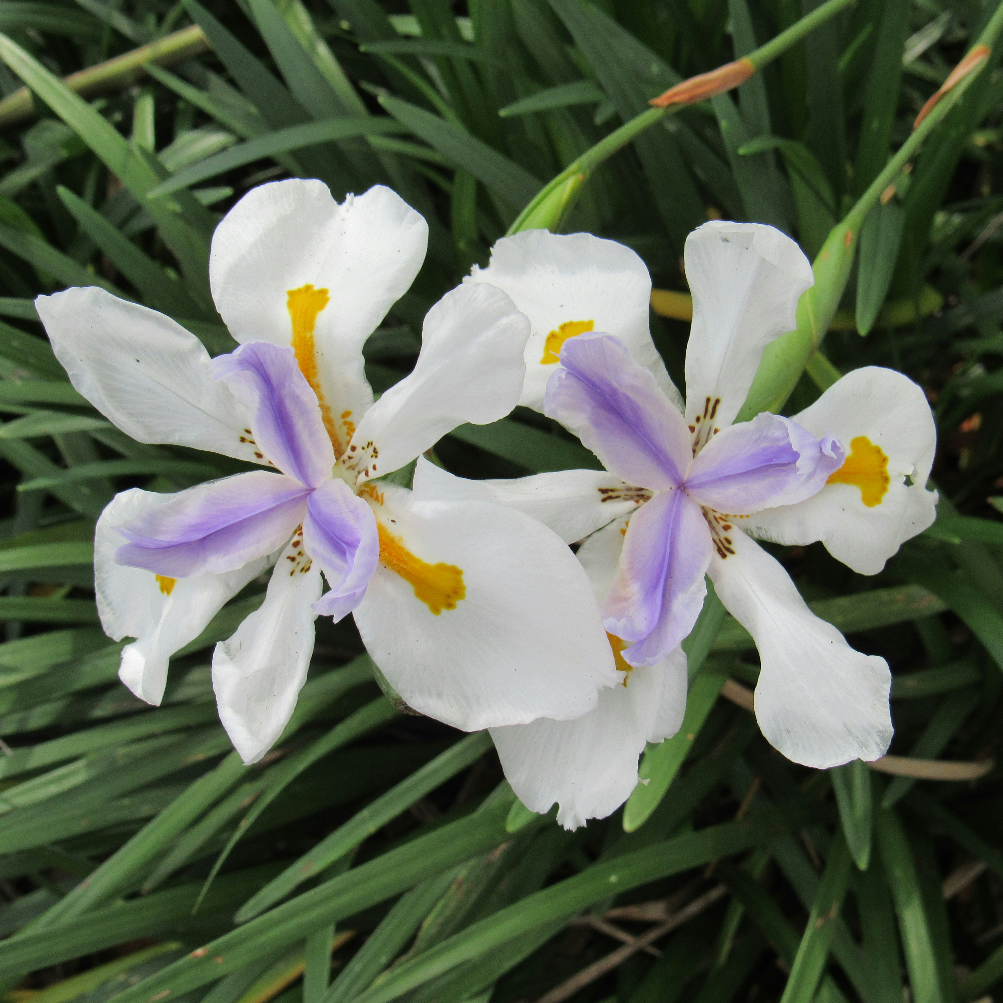 Photo by sierrasphotography03