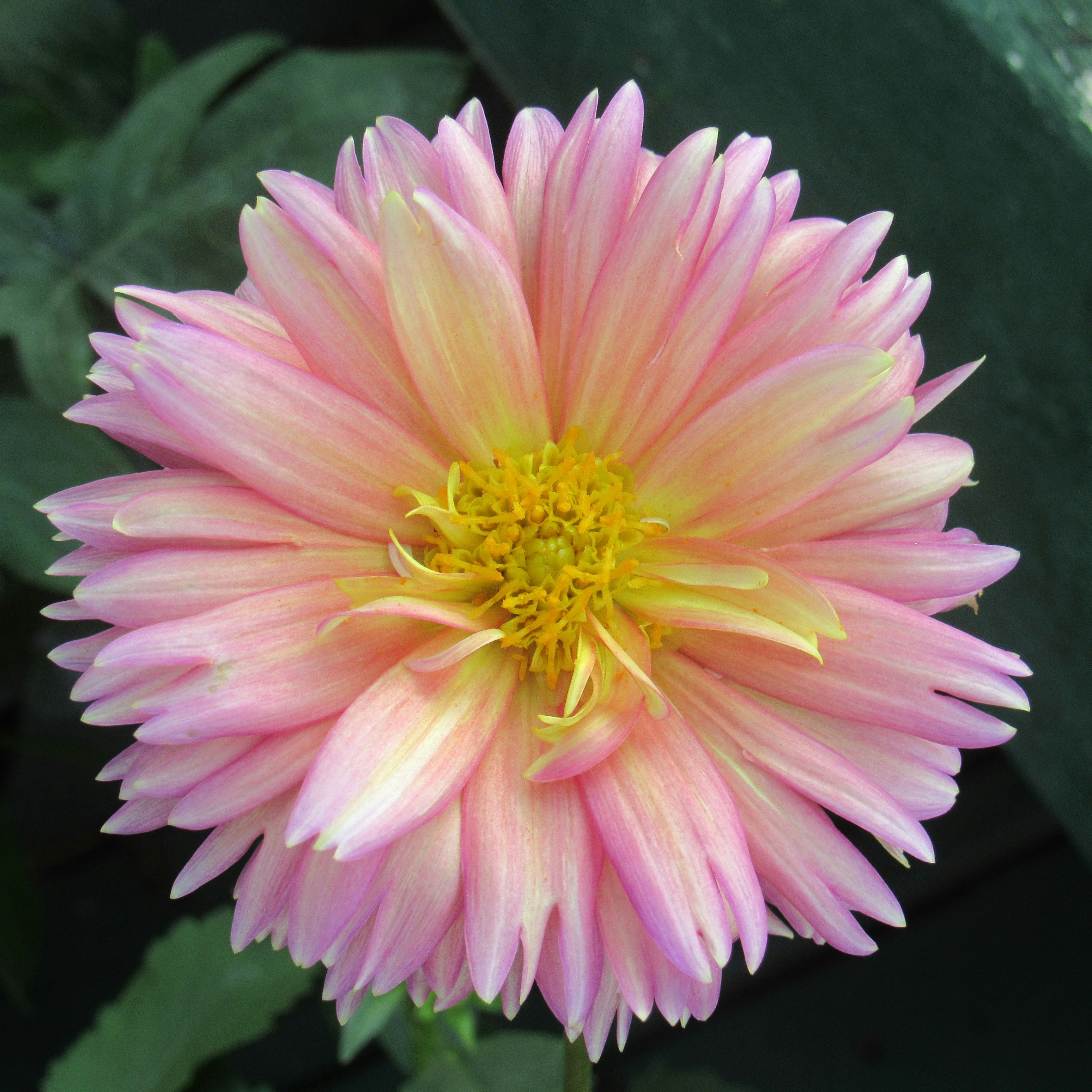 Photo by sierrasphotography03