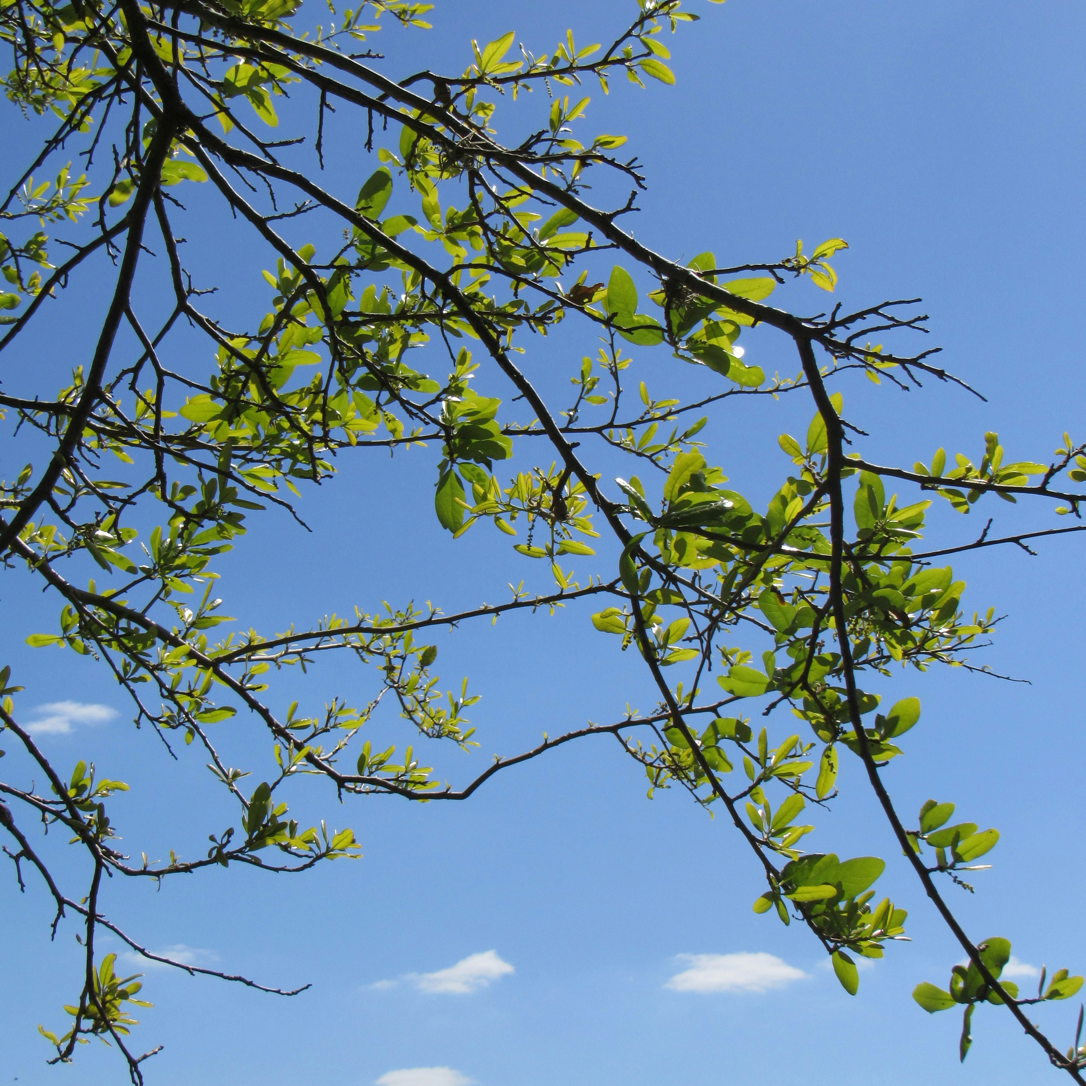 Photo by sierrasphotography03