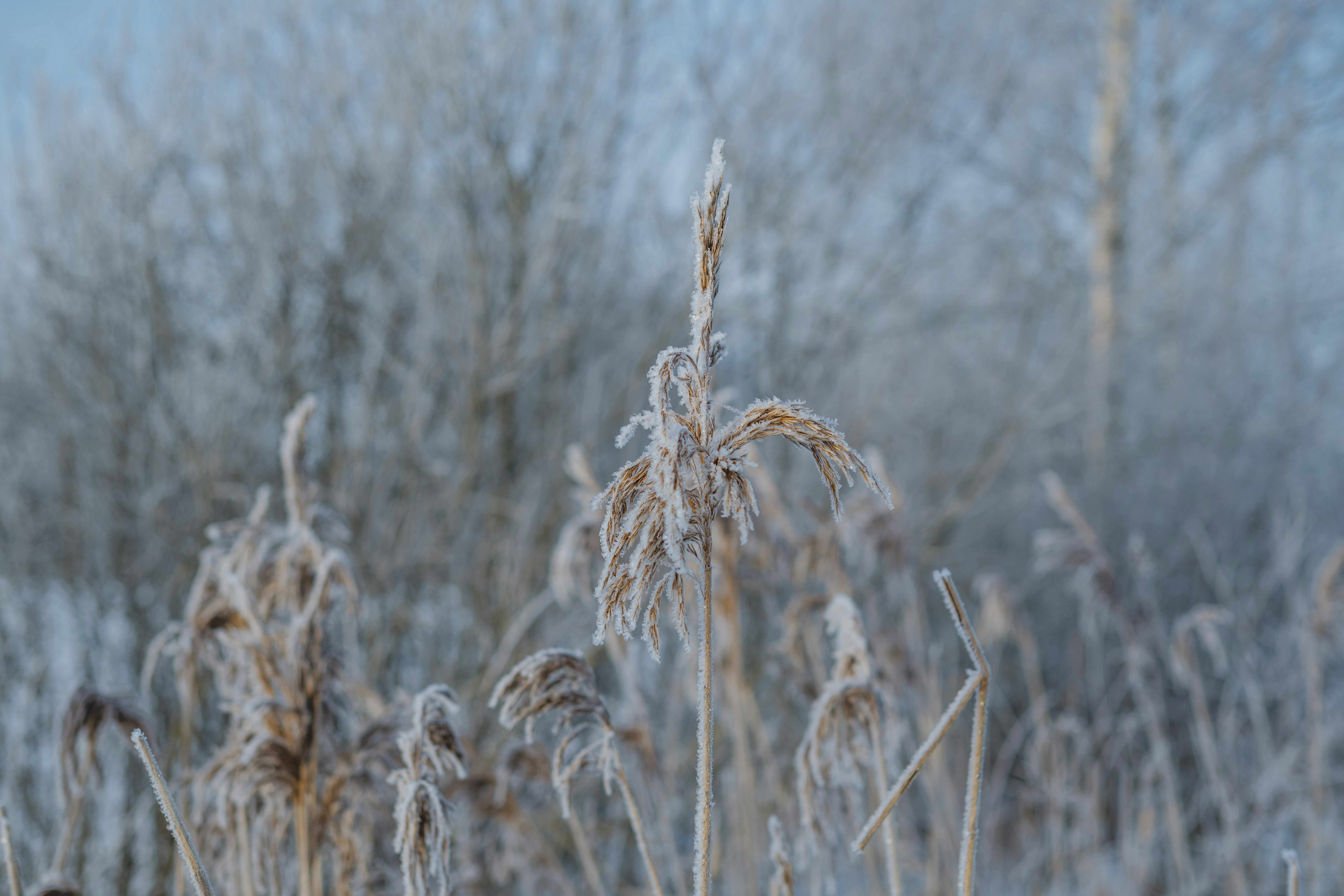 Photo by anitaaustvika