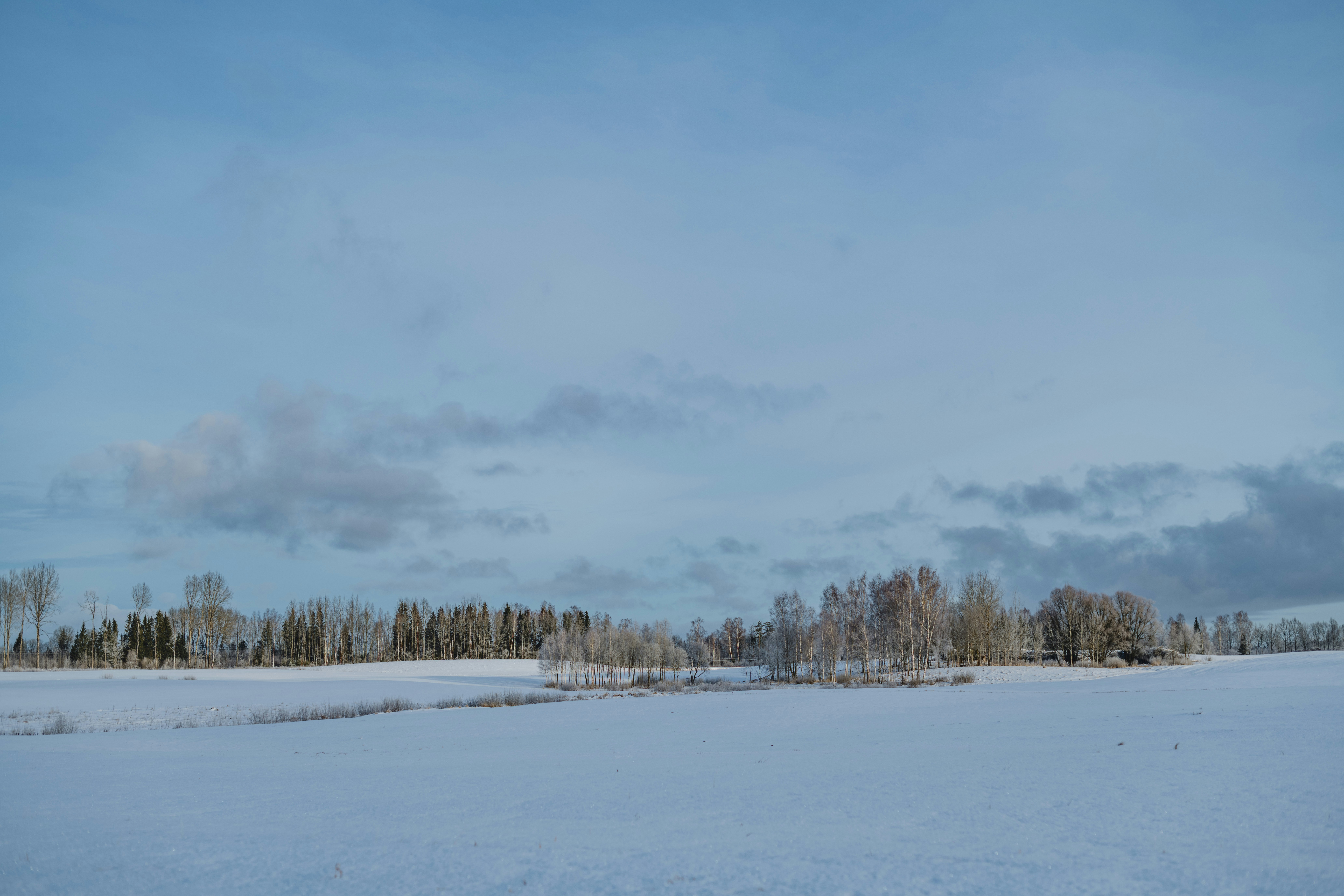 Photo by anitaaustvika