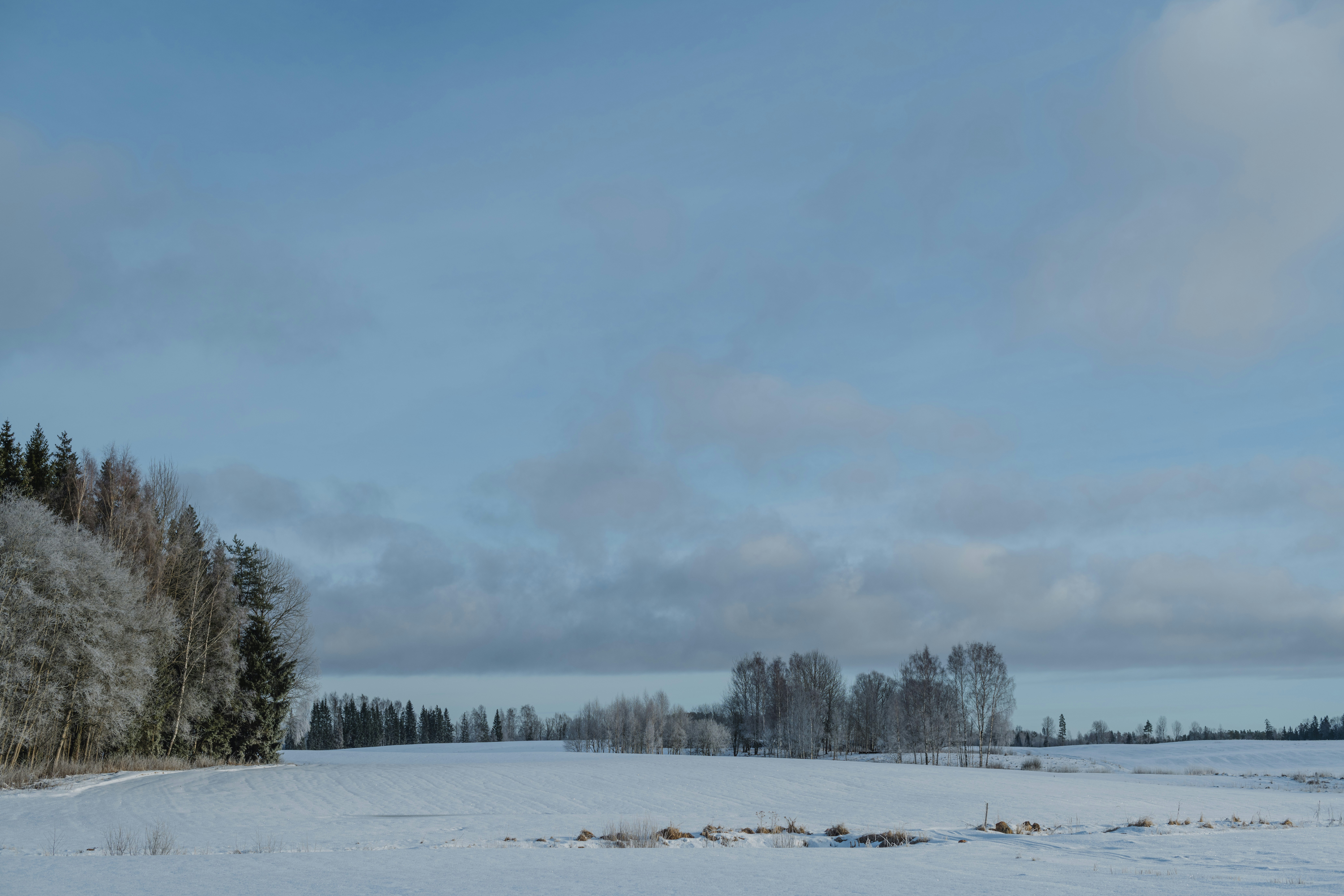 Photo by anitaaustvika