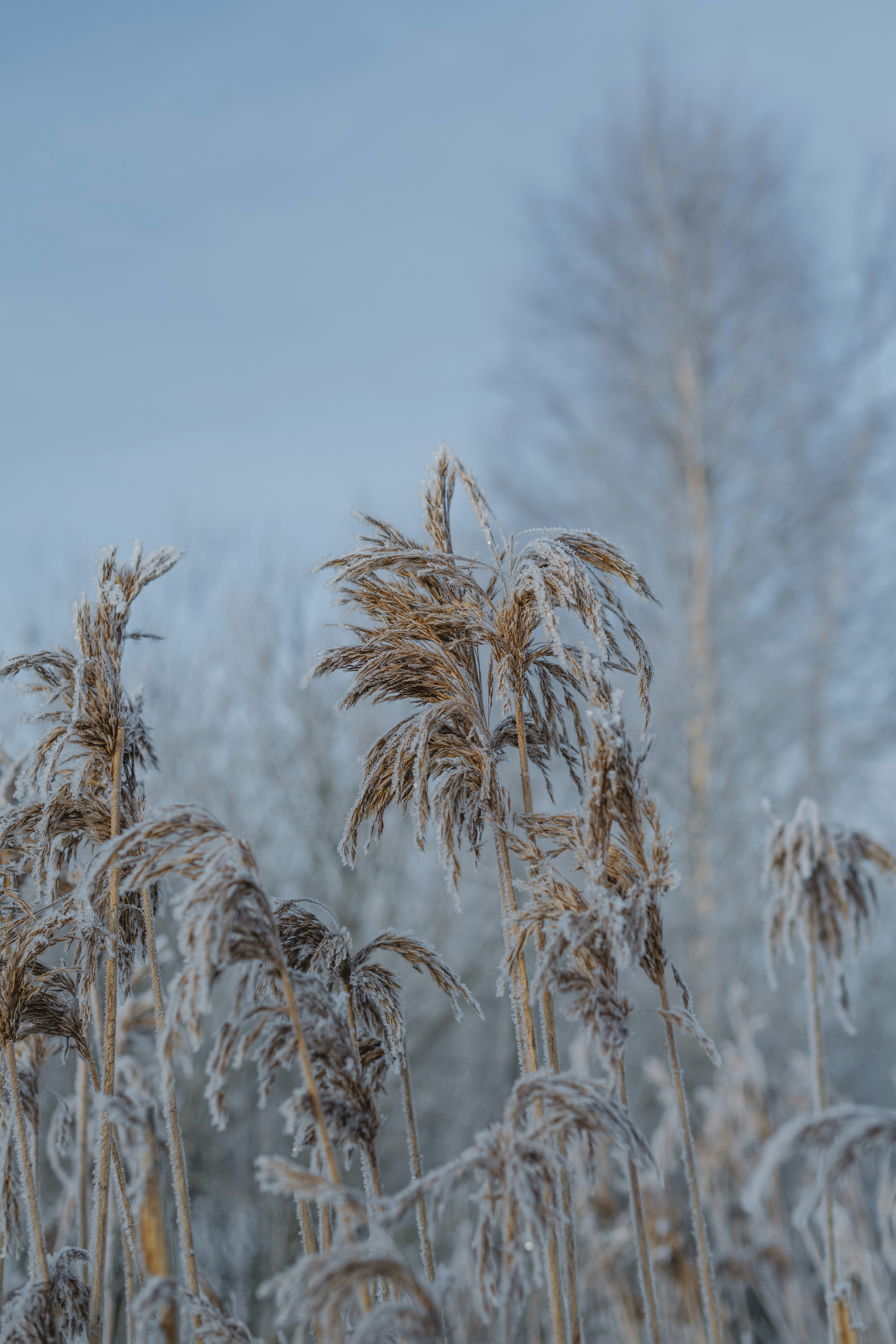 Photo by anitaaustvika