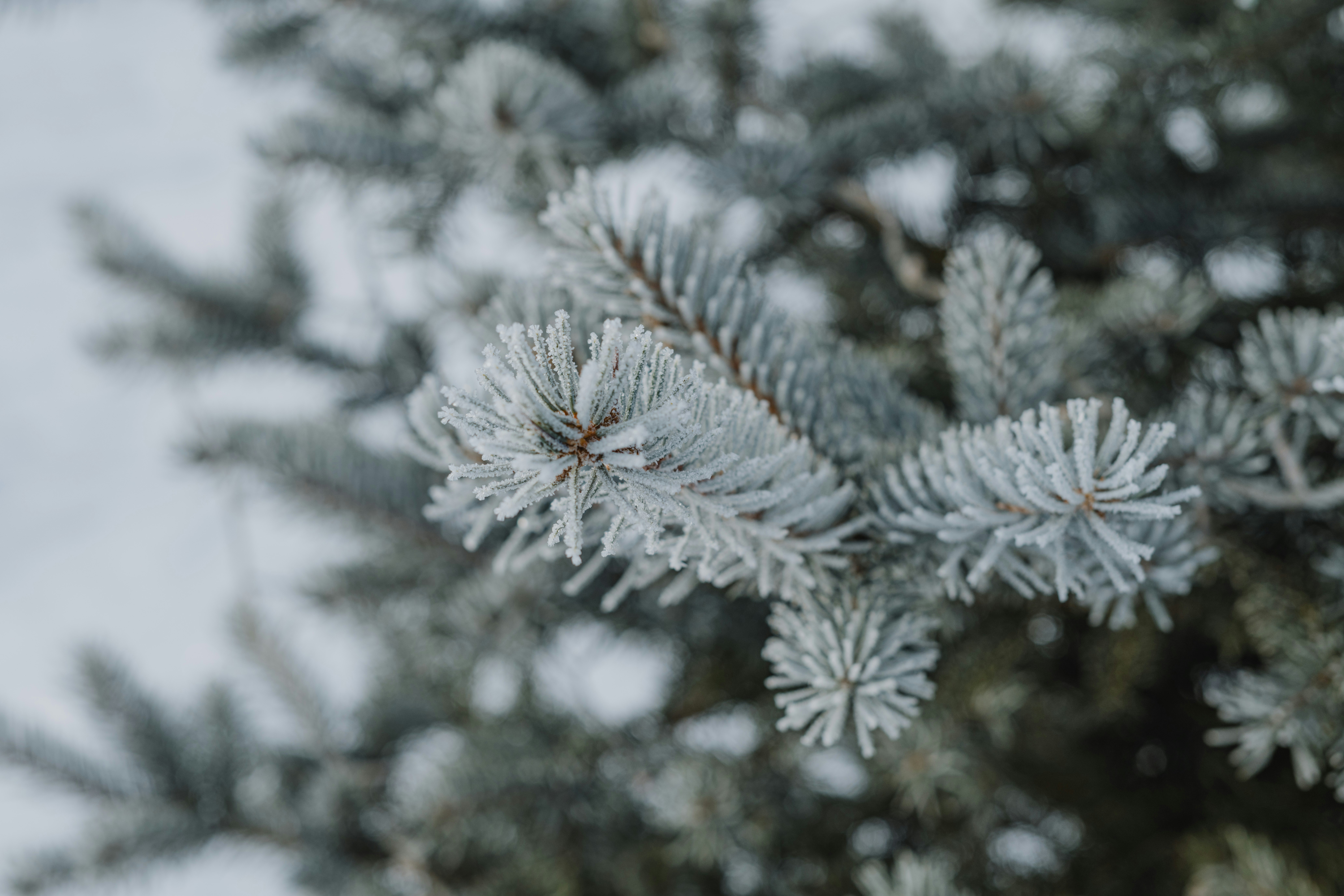 Photo by anitaaustvika