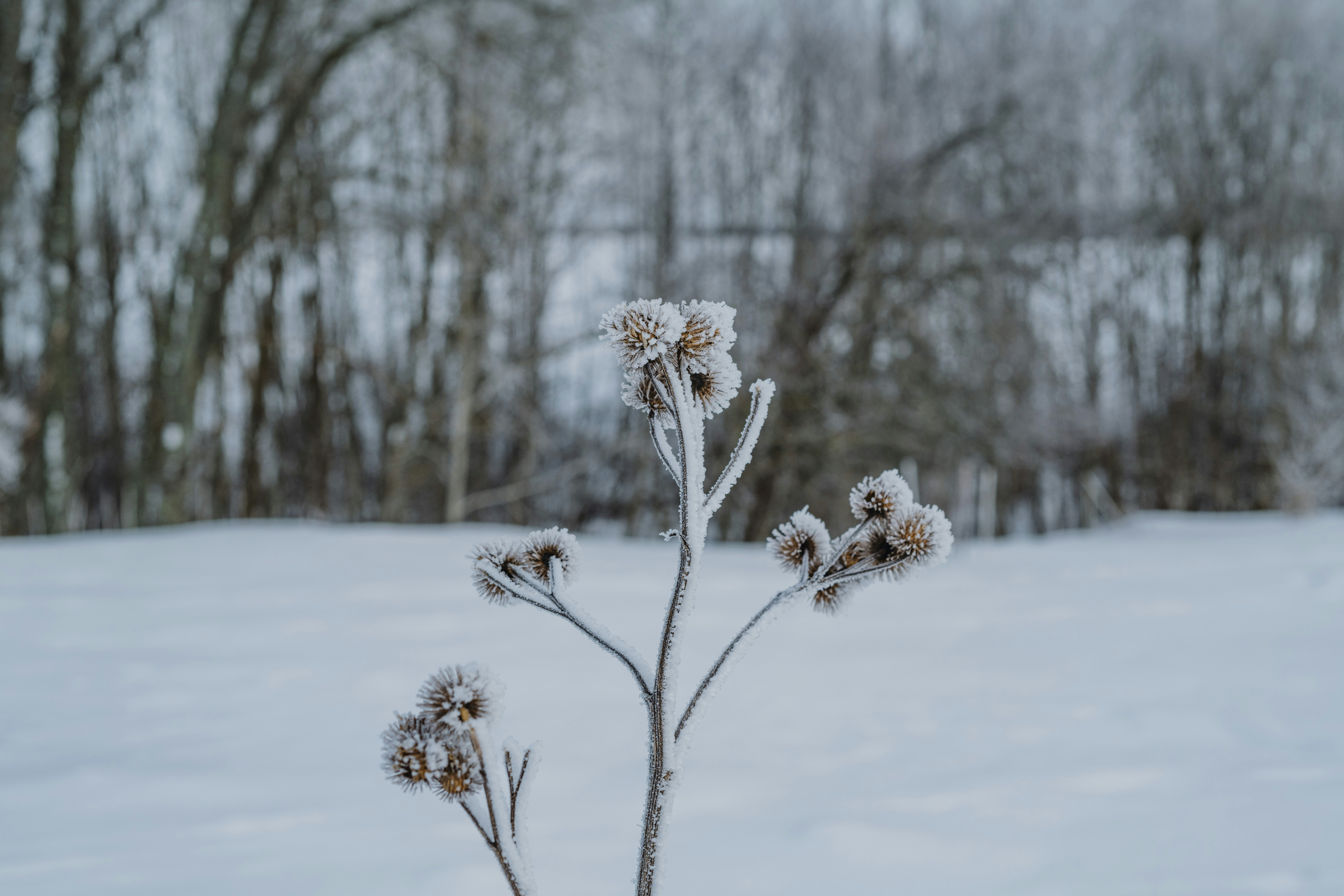 Photo by anitaaustvika