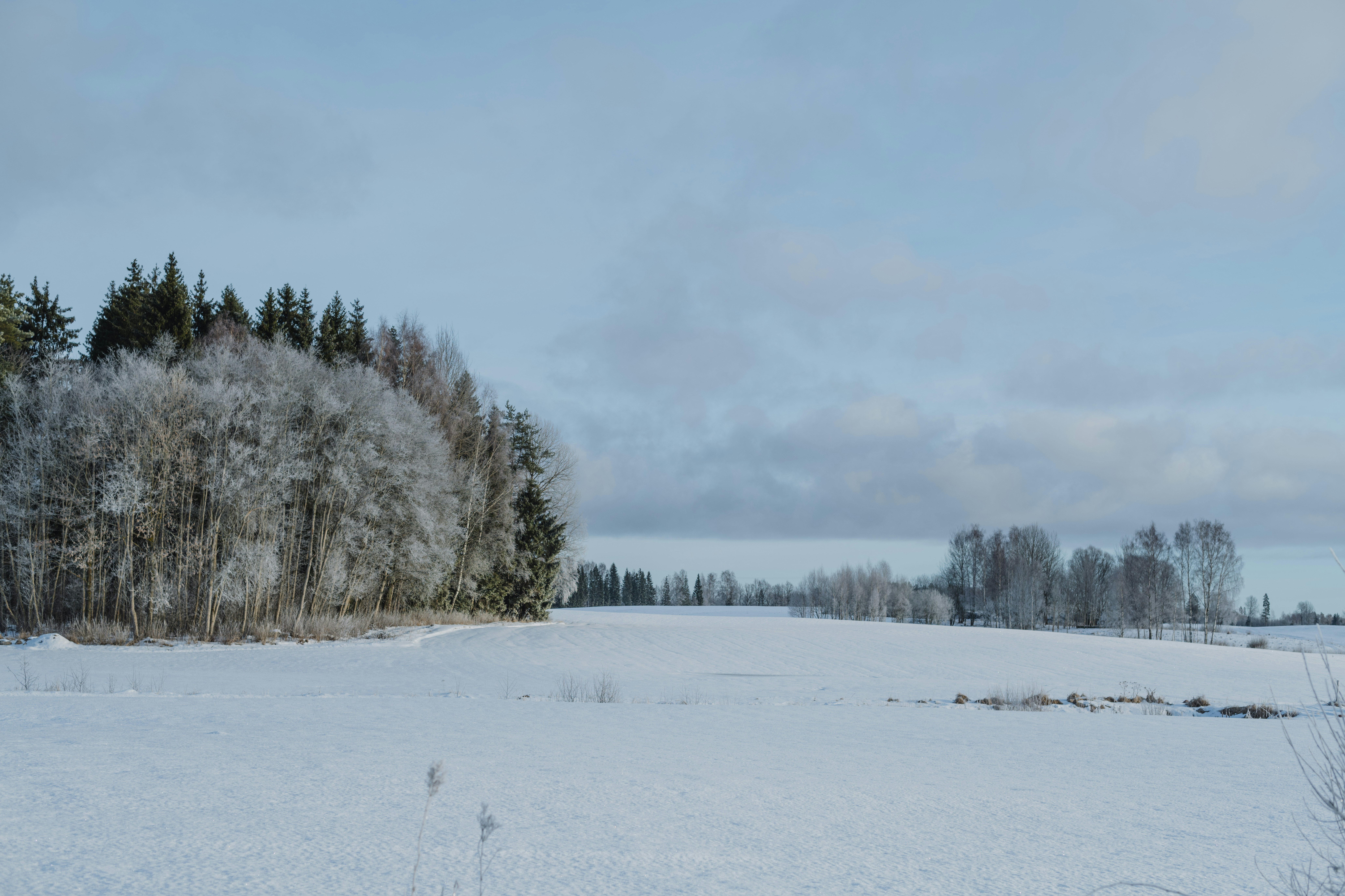 Photo by anitaaustvika