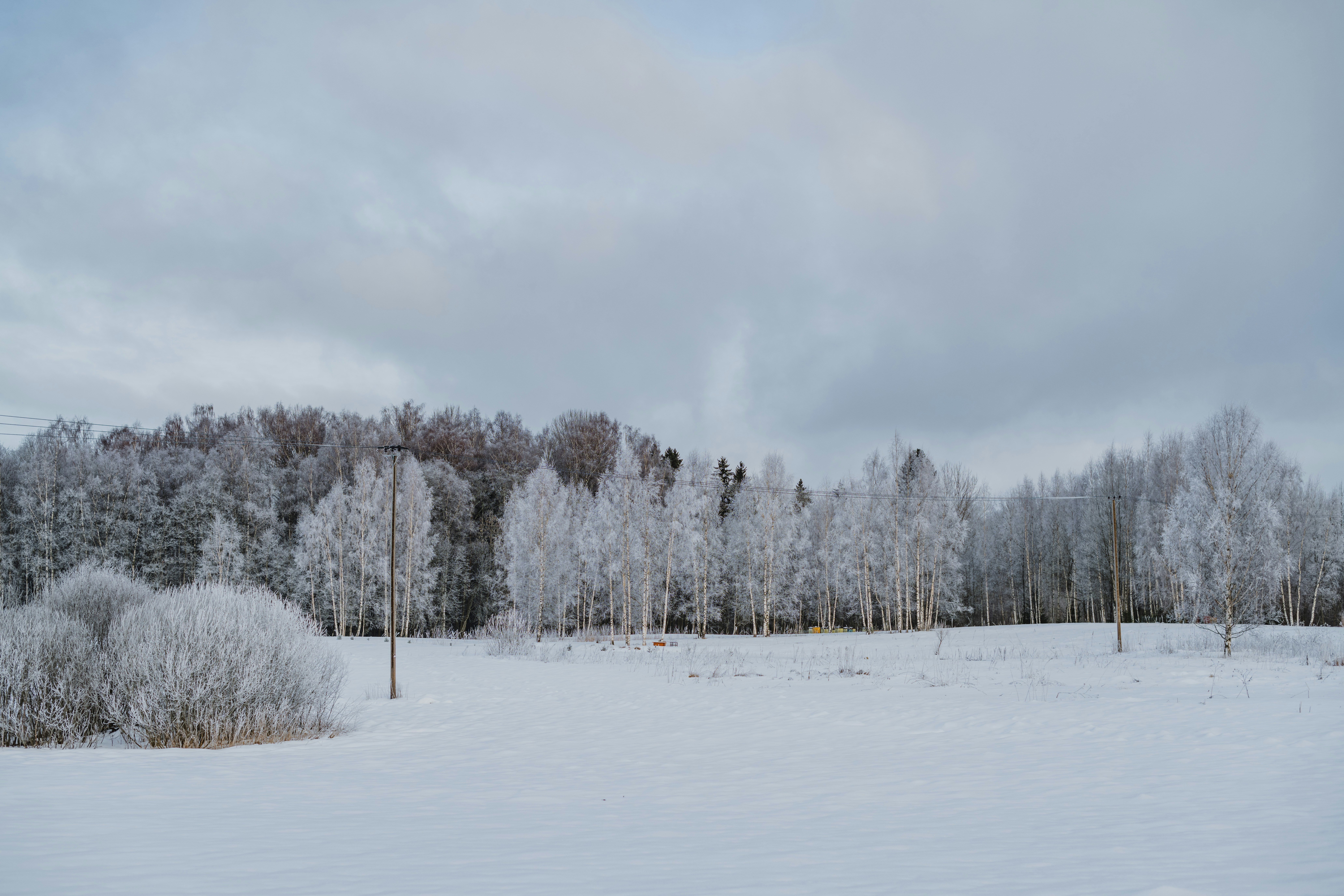 Photo by anitaaustvika