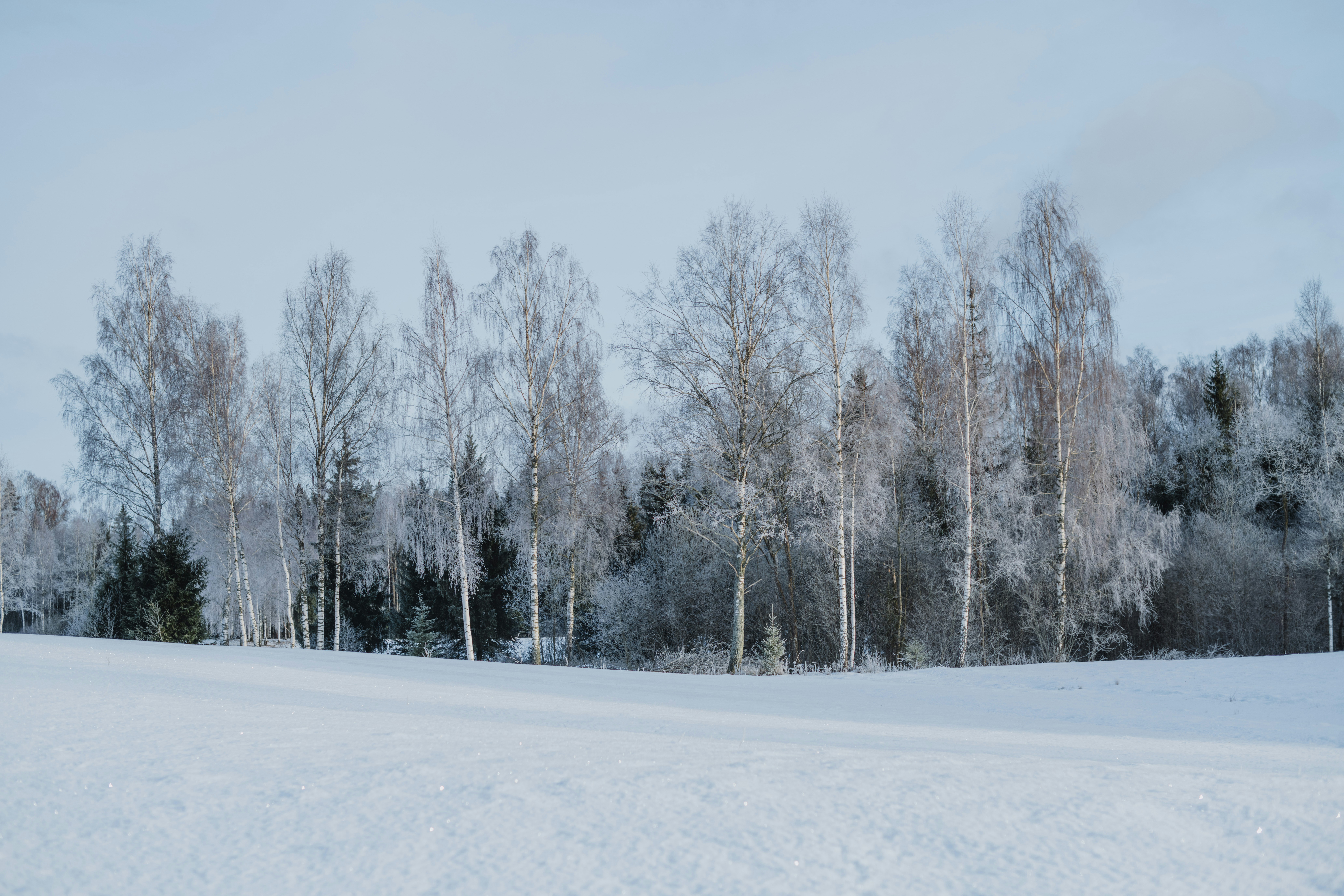 Photo by anitaaustvika