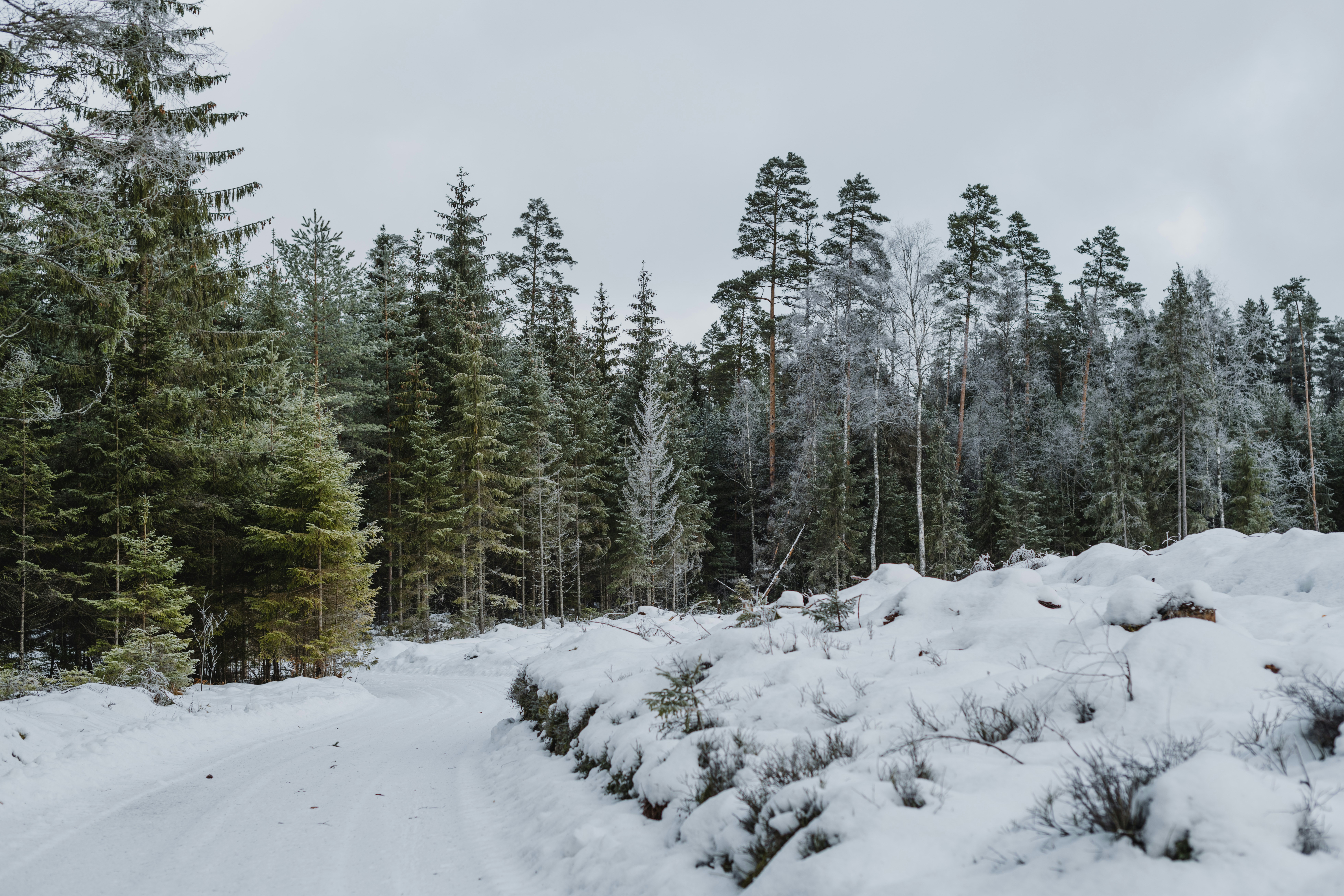 Photo by anitaaustvika