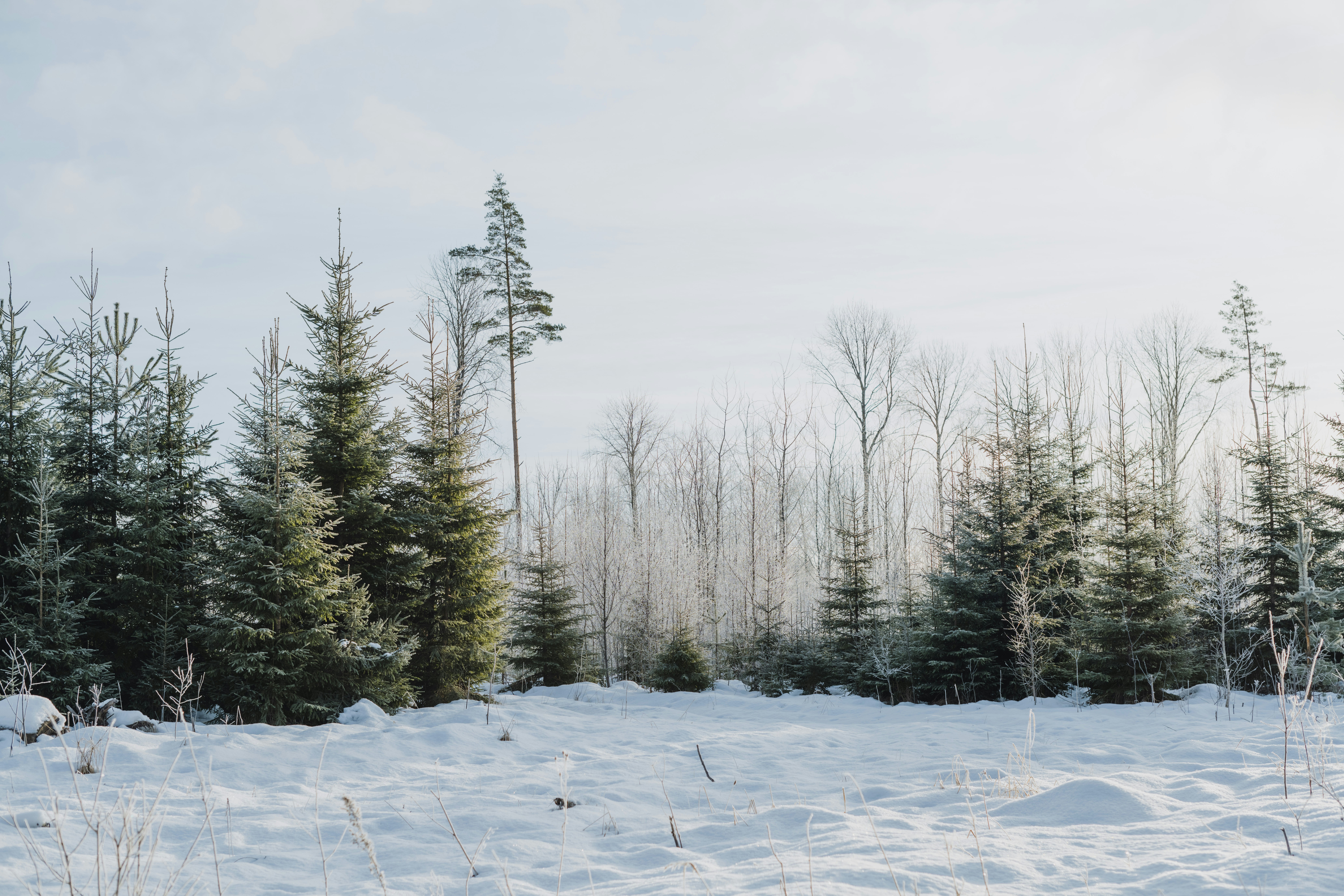 Photo by anitaaustvika